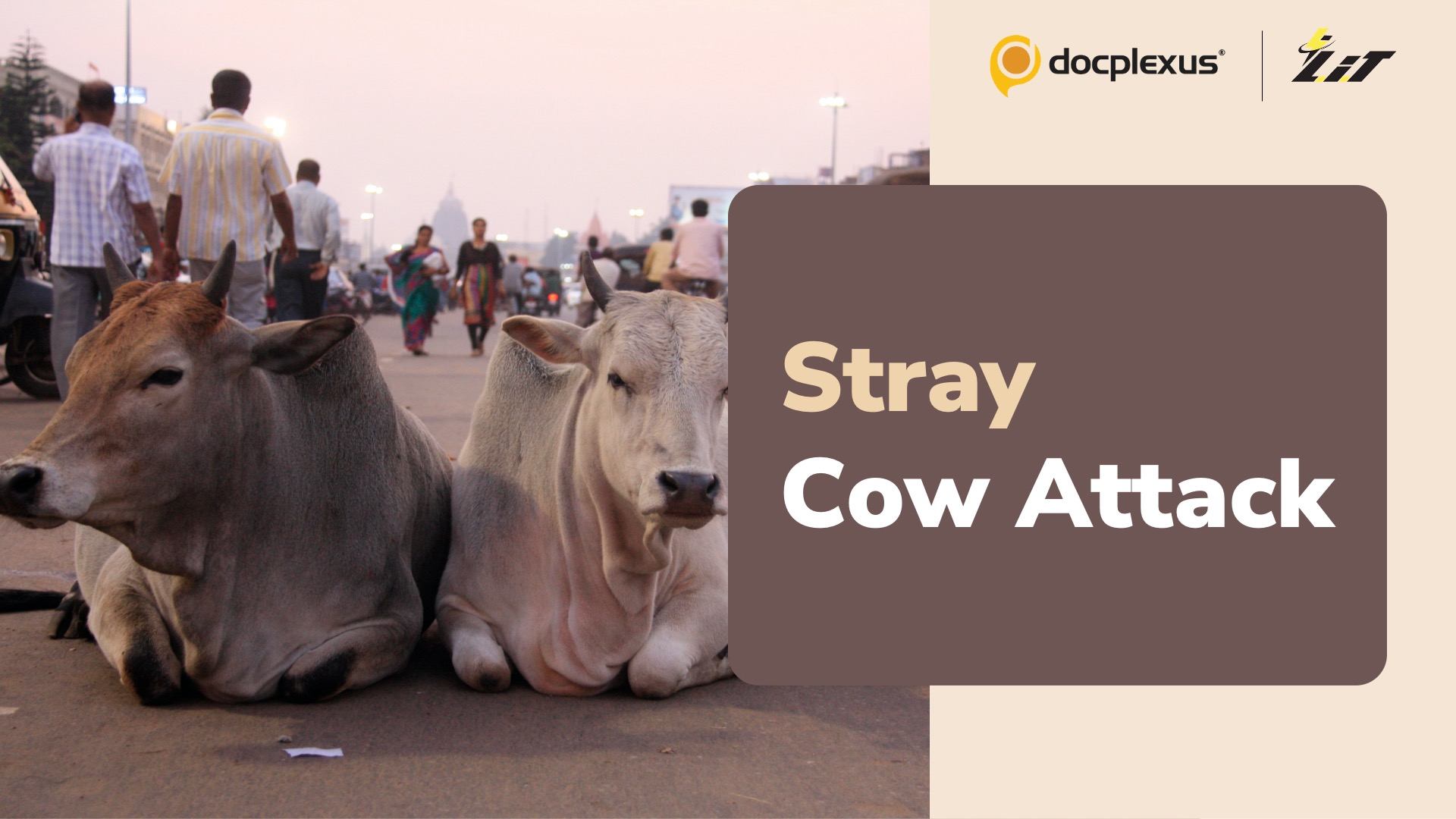 Surgeons Save a Man After Stray Cow Attack