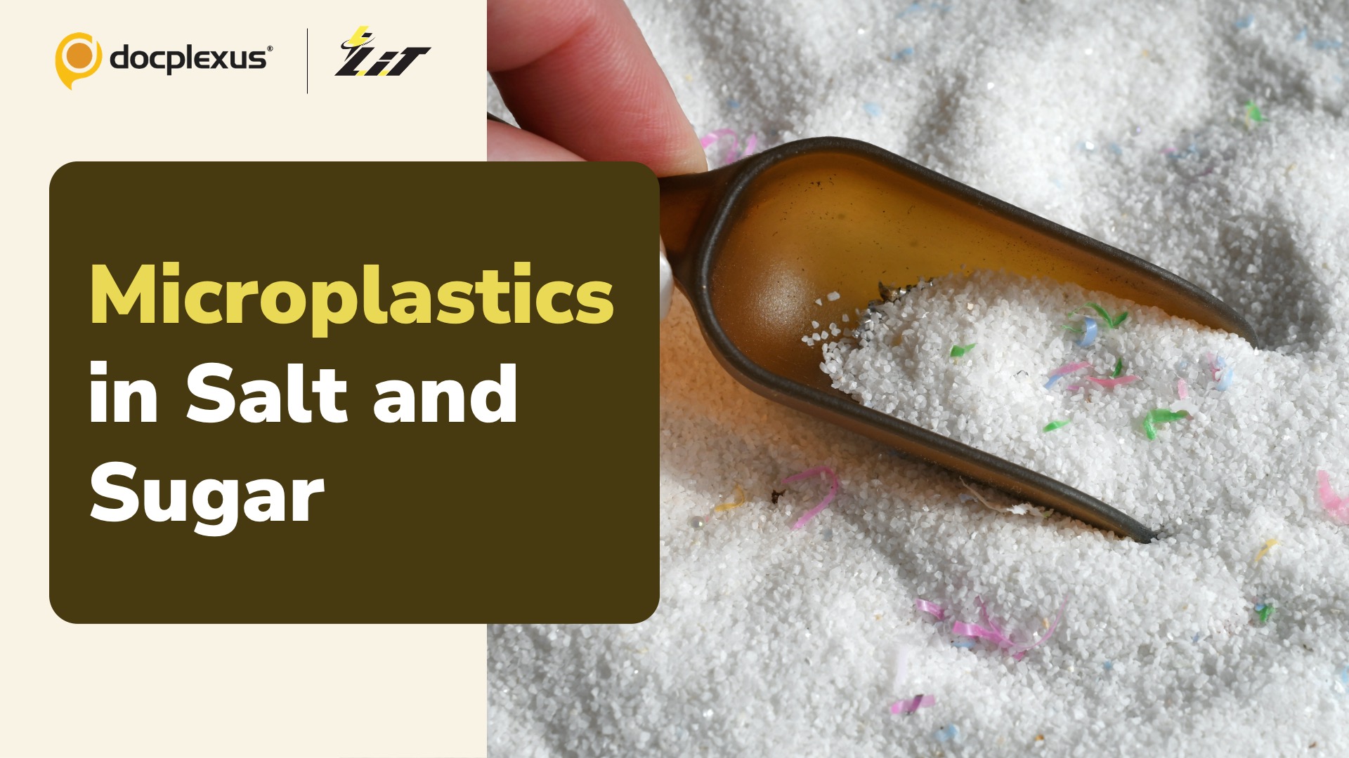 Study Reveals Microplastic Contaminations in Indian Salt and Sugar Brands