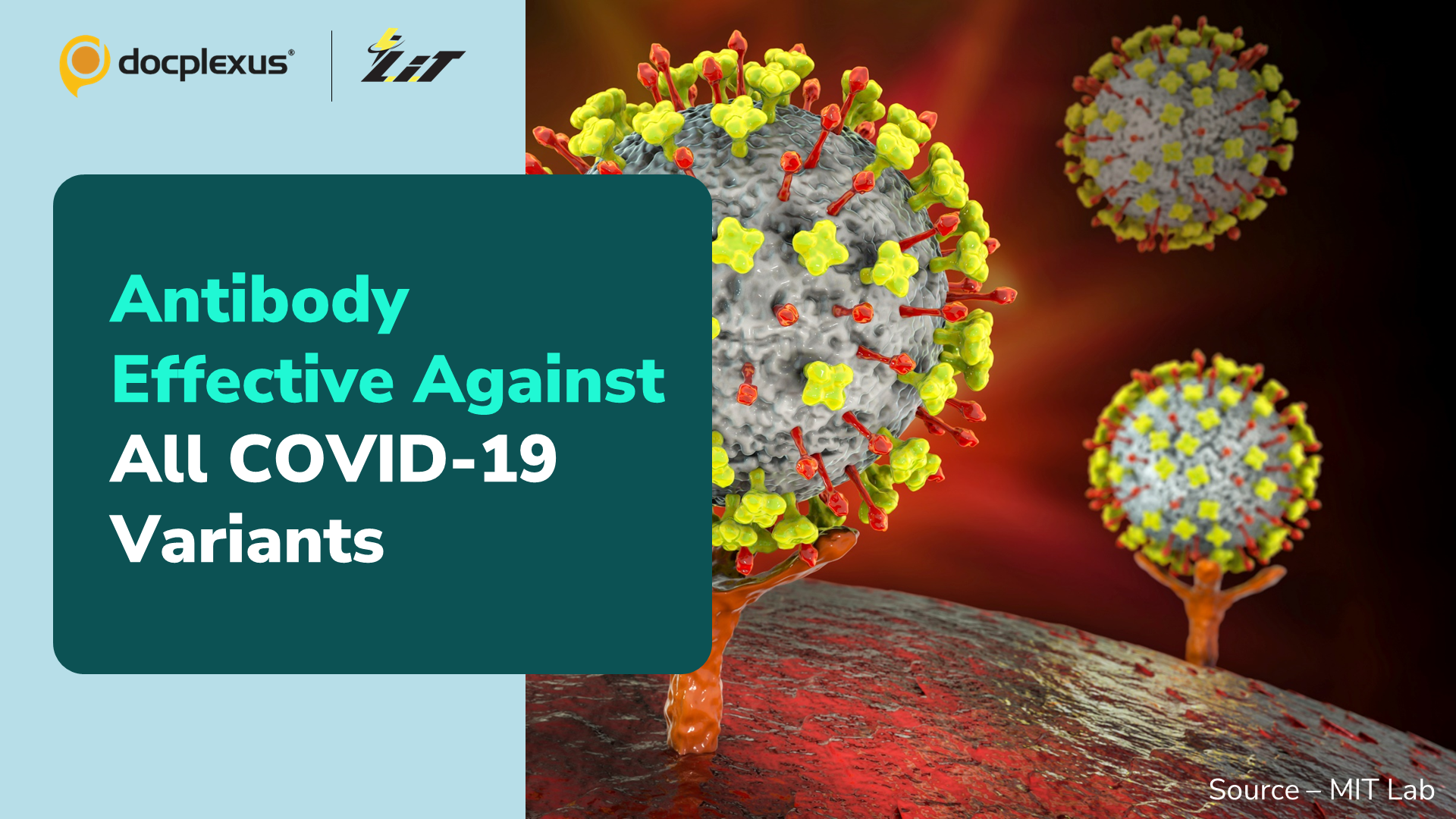 Newly Discovered Antibody Effective Against All COVID-19 Variants