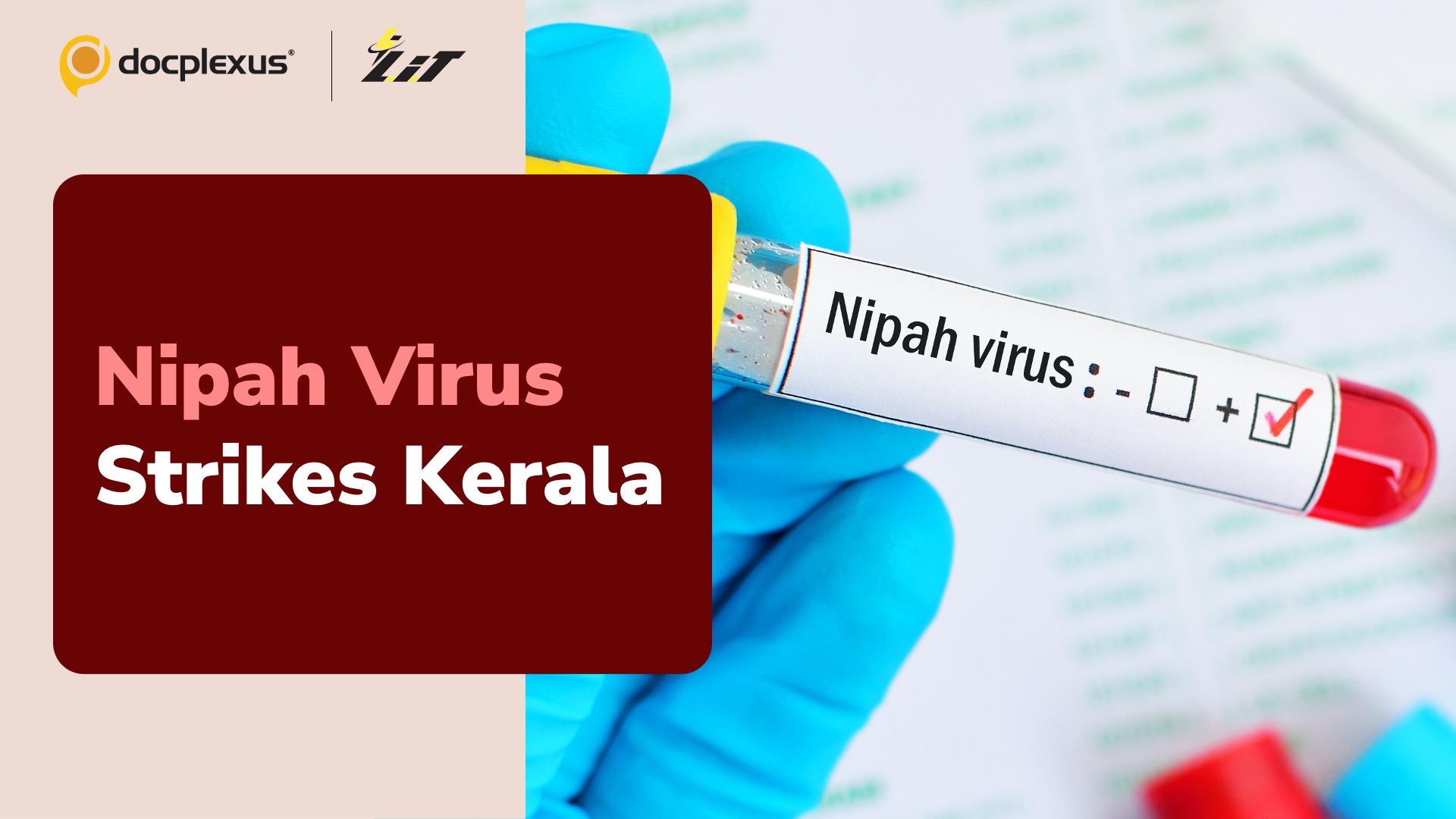 24-year-old Kerala Man Succumbs to Nipah Virus