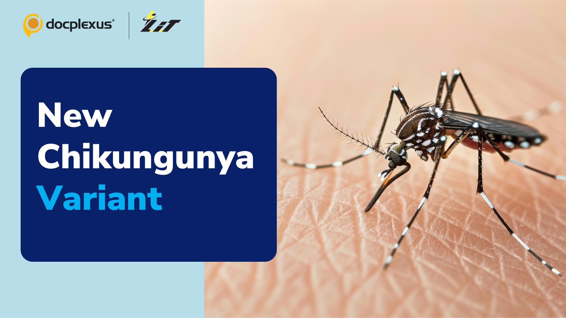 New Chikungunya Variant in Pune Causes Paralysis and Dengue-Like Symptoms