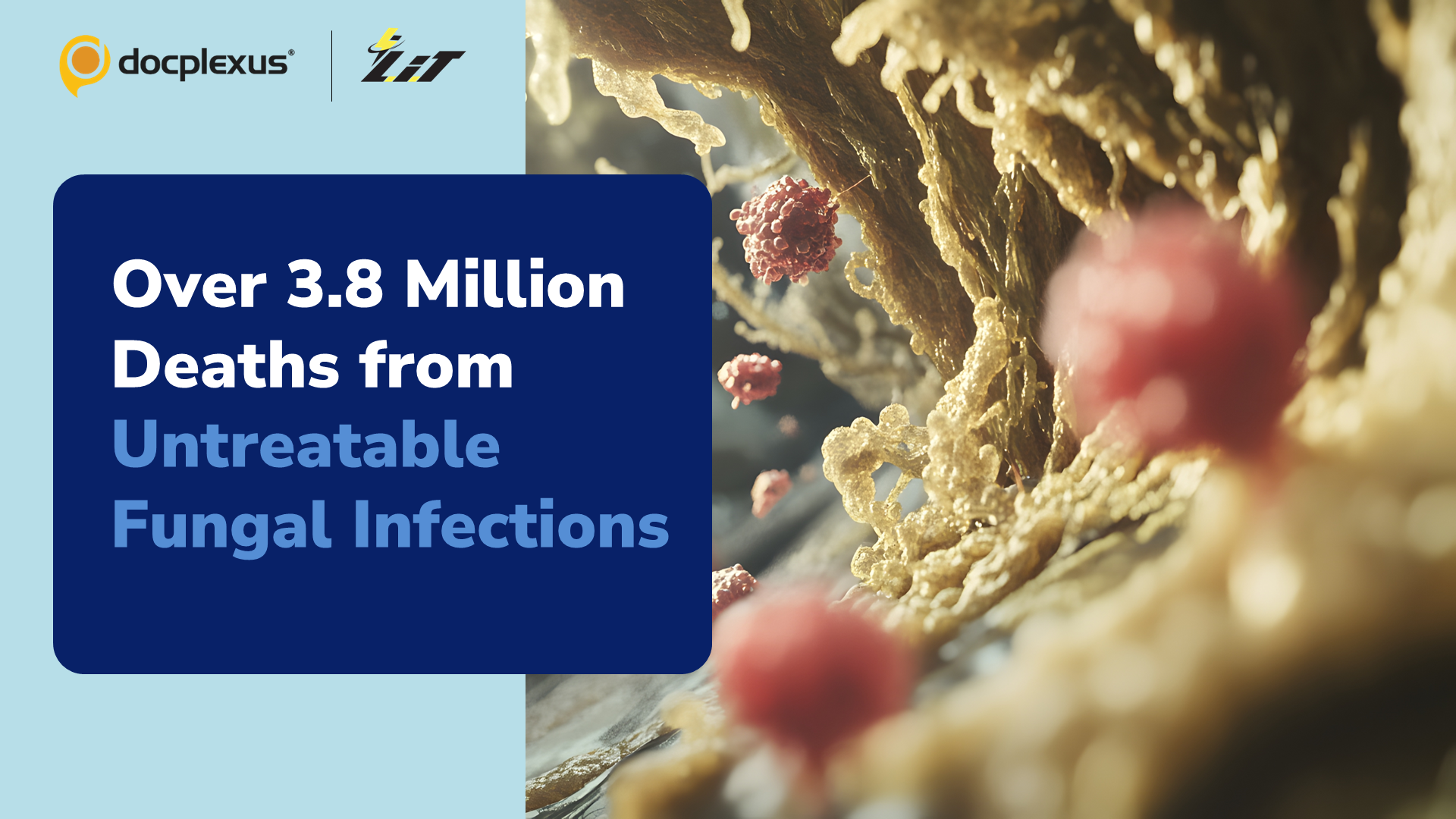 Fungal Infections on the Rise: WHO Warns of Deadly Global Threat