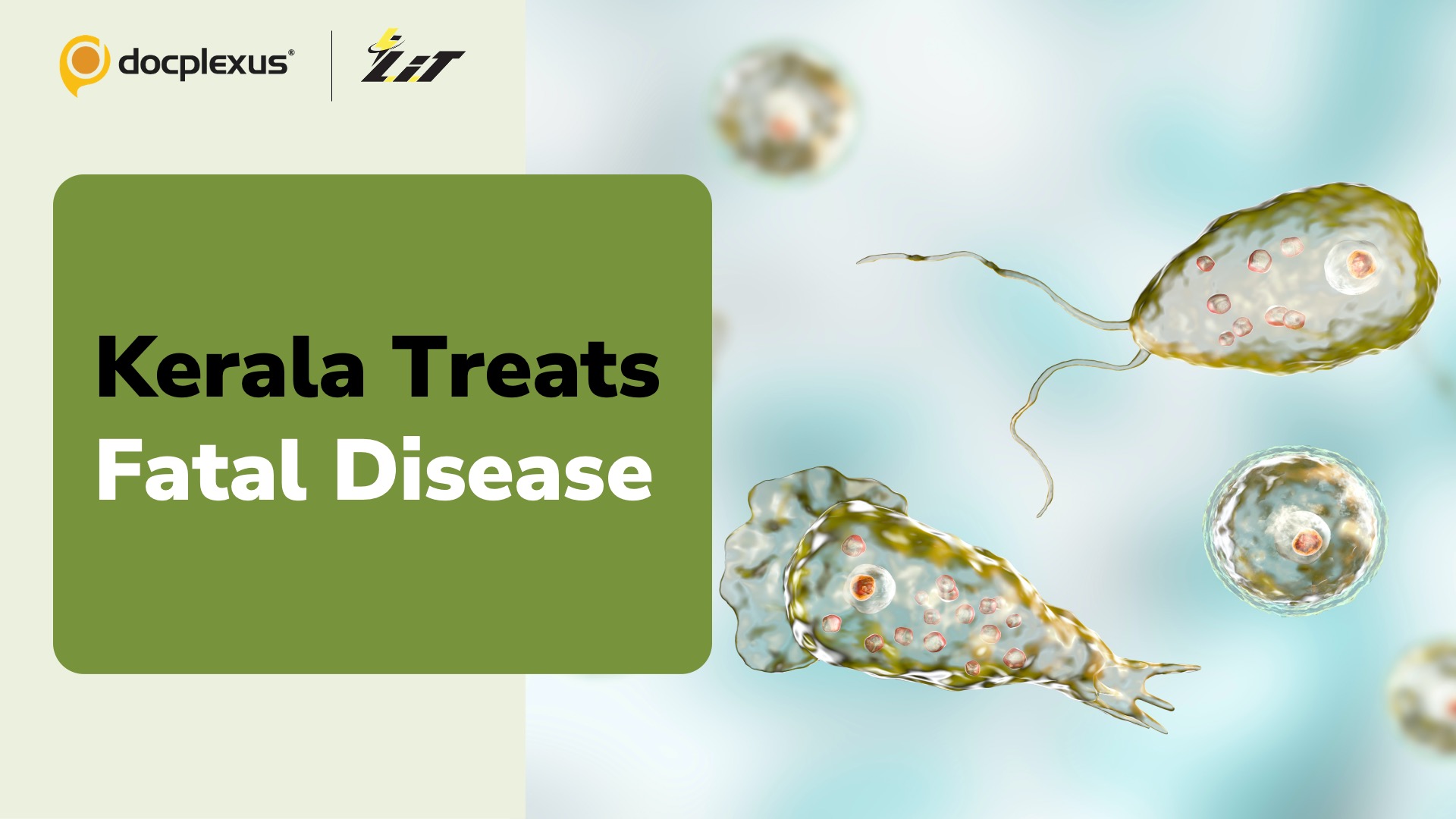 Kerala Achieves Recovery of All Amoebic Meningoencephalitis Patients