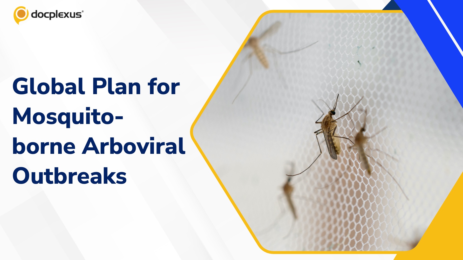 WHO Launches Global Plan to Combat Mosquito-borne Arboviral Diseases