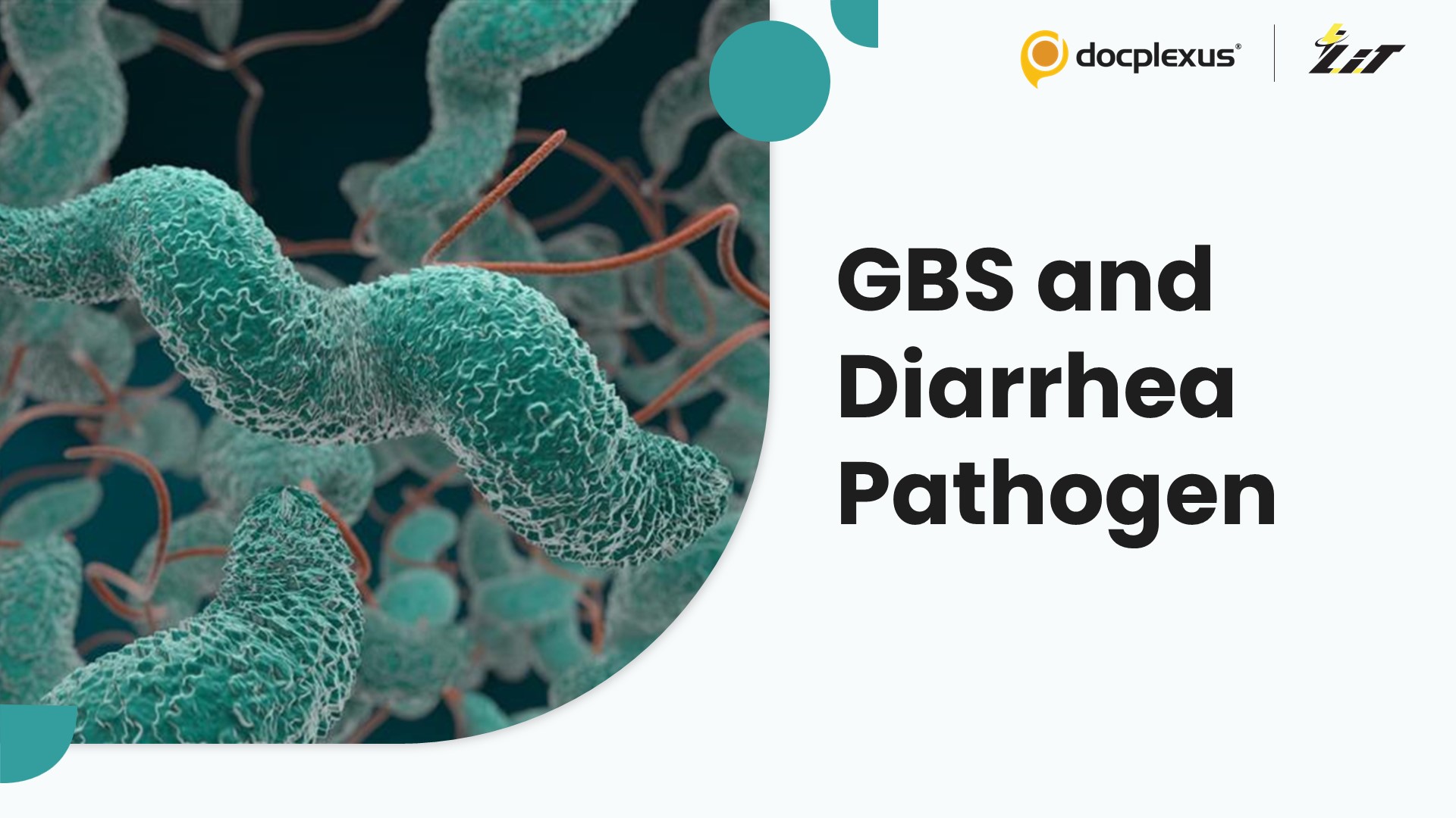 ICMR Identifies Diarrheal Pathogen in Guillain-Barré Syndrome Cases