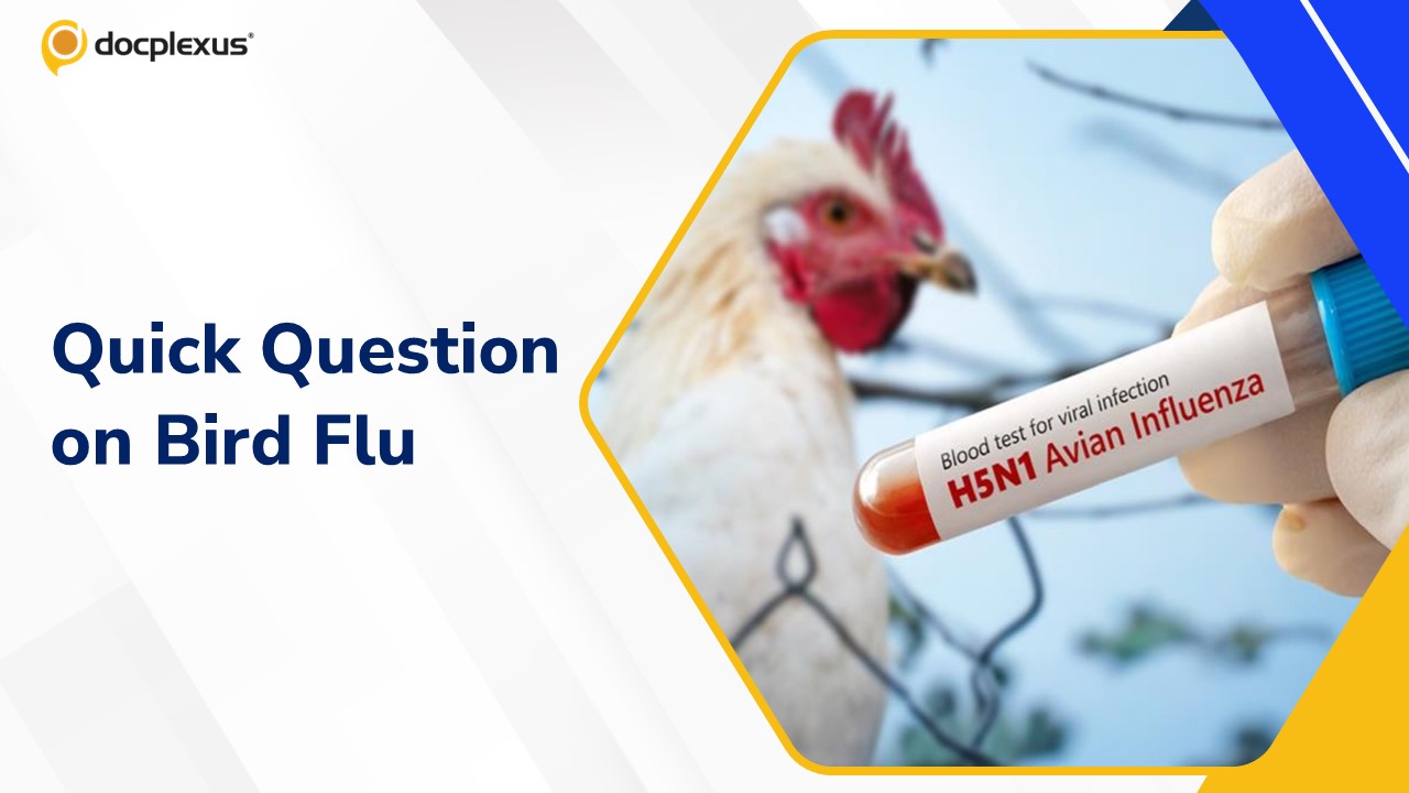 Understanding Bird Flu: Key Facts and a Challenge for You