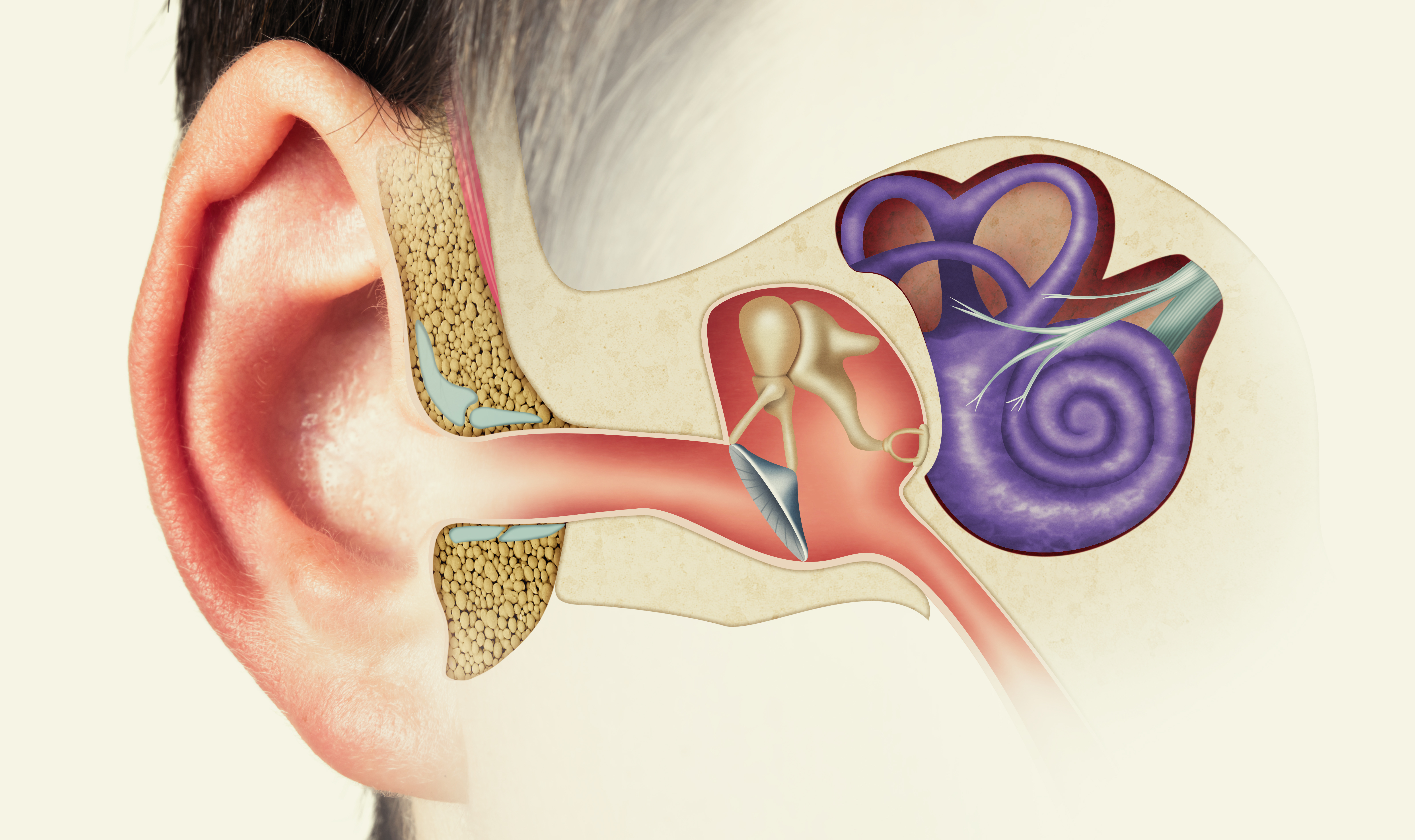Comparison Of Halmágyi–curthoys Head Impulse (Thrust) Test With Romberg’s Test In Detection Of Vestibular Hypofunctioning In Vertigo Patients