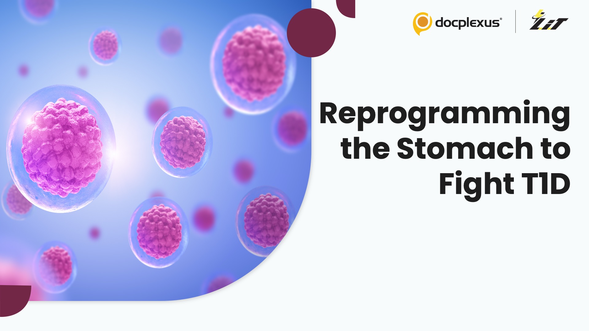Human Gastric Cells Reprogrammed into Insulin-Producing Beta-Like Cells