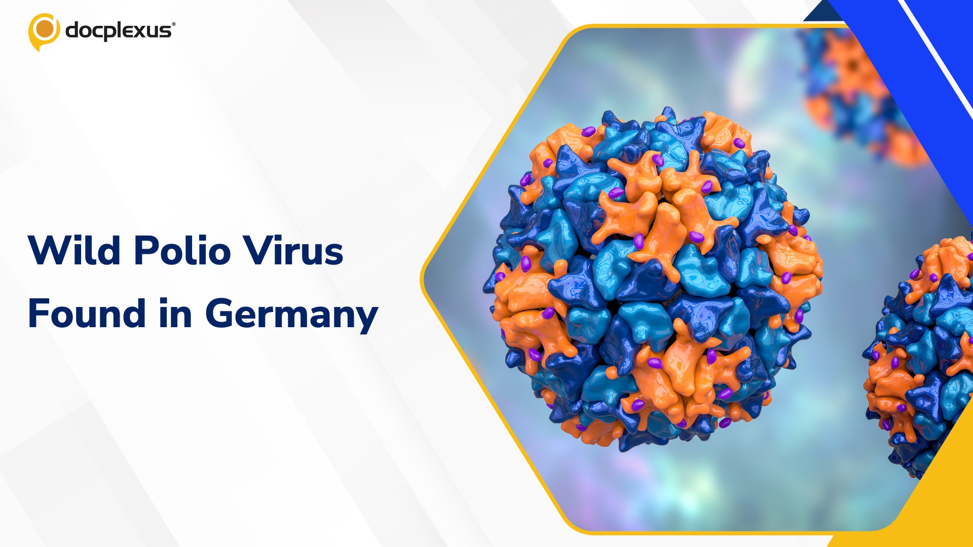 Wild Polio Found in German Sewage Sparks Funding Reversal
