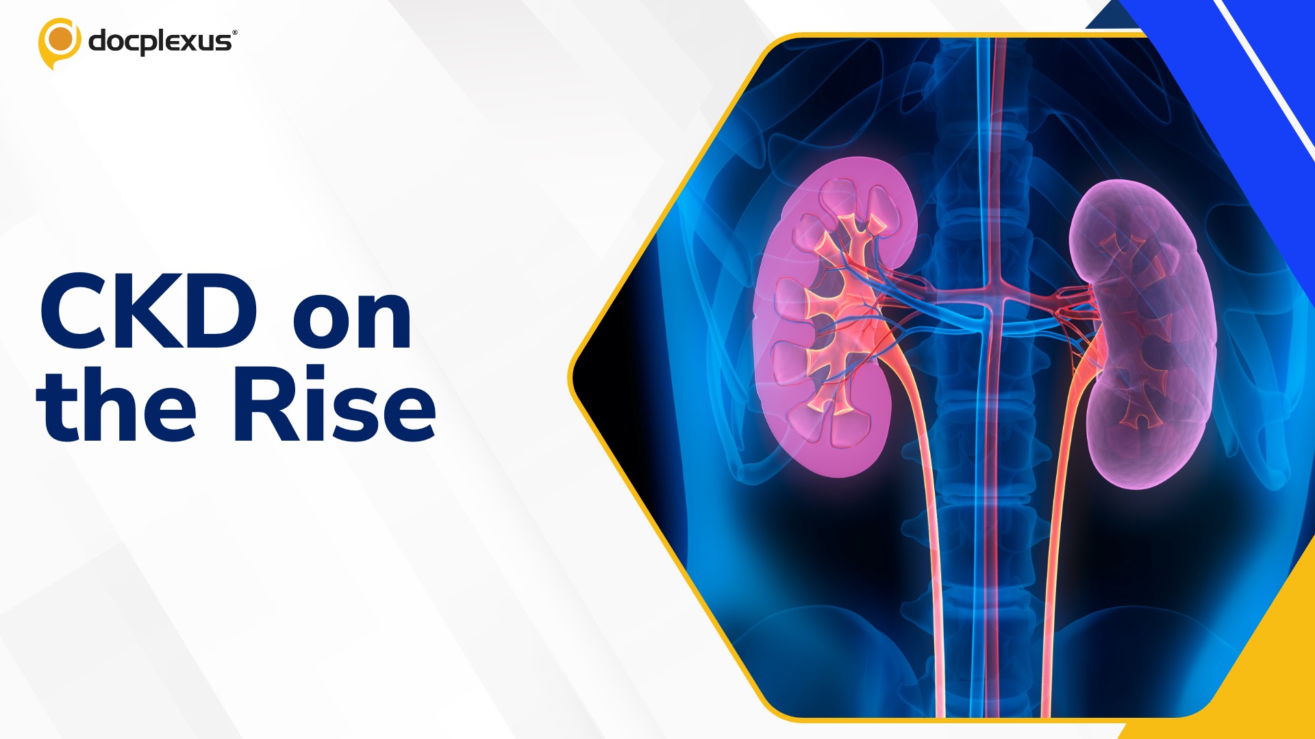 China and India Lead the Global CKD Burden: What Can Be Done Now
