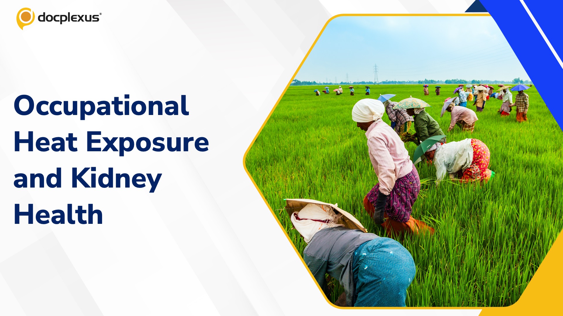 Rising CKD Burden Among Agricultural Workforce: Emerging Insights