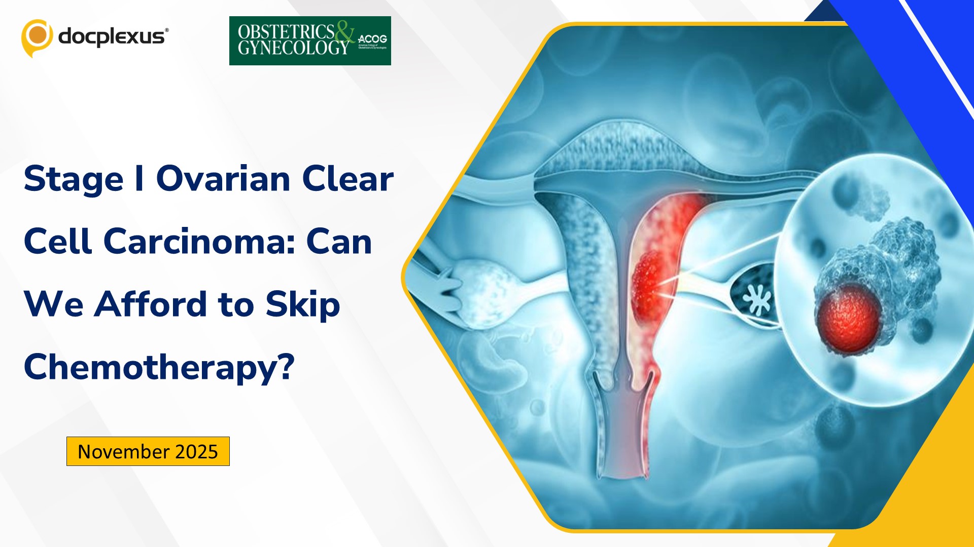 Stage I Ovarian Clear Cell Carcinoma: Can We Afford to Skip Chemotherapy?