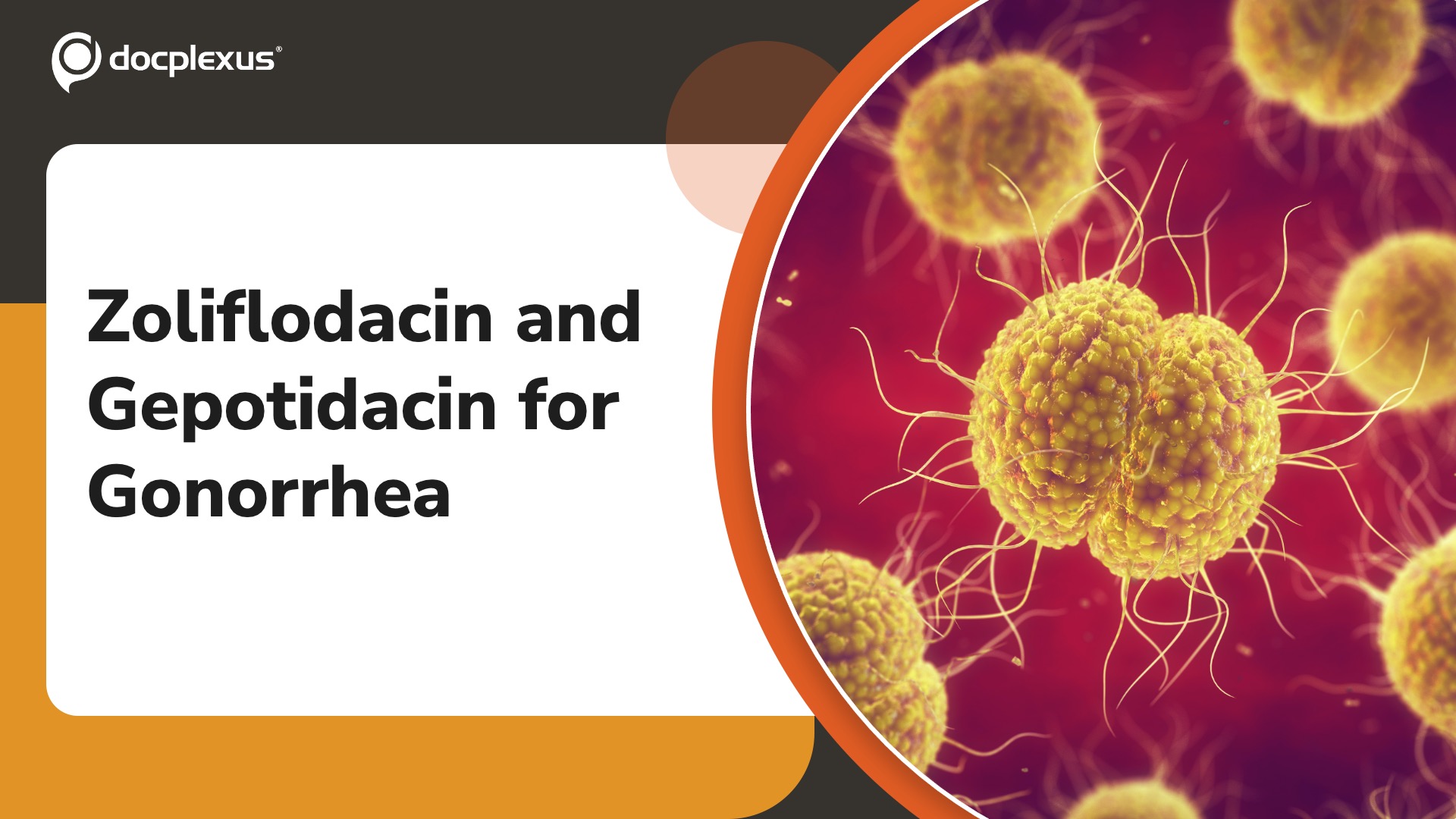 US FDA Approves Two New Antibiotics for Gonorrhea