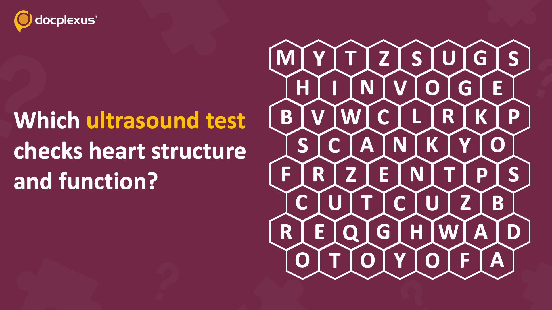 Spot the Ultrasound Imaging Test That Assesses Cardiac Structure and Function