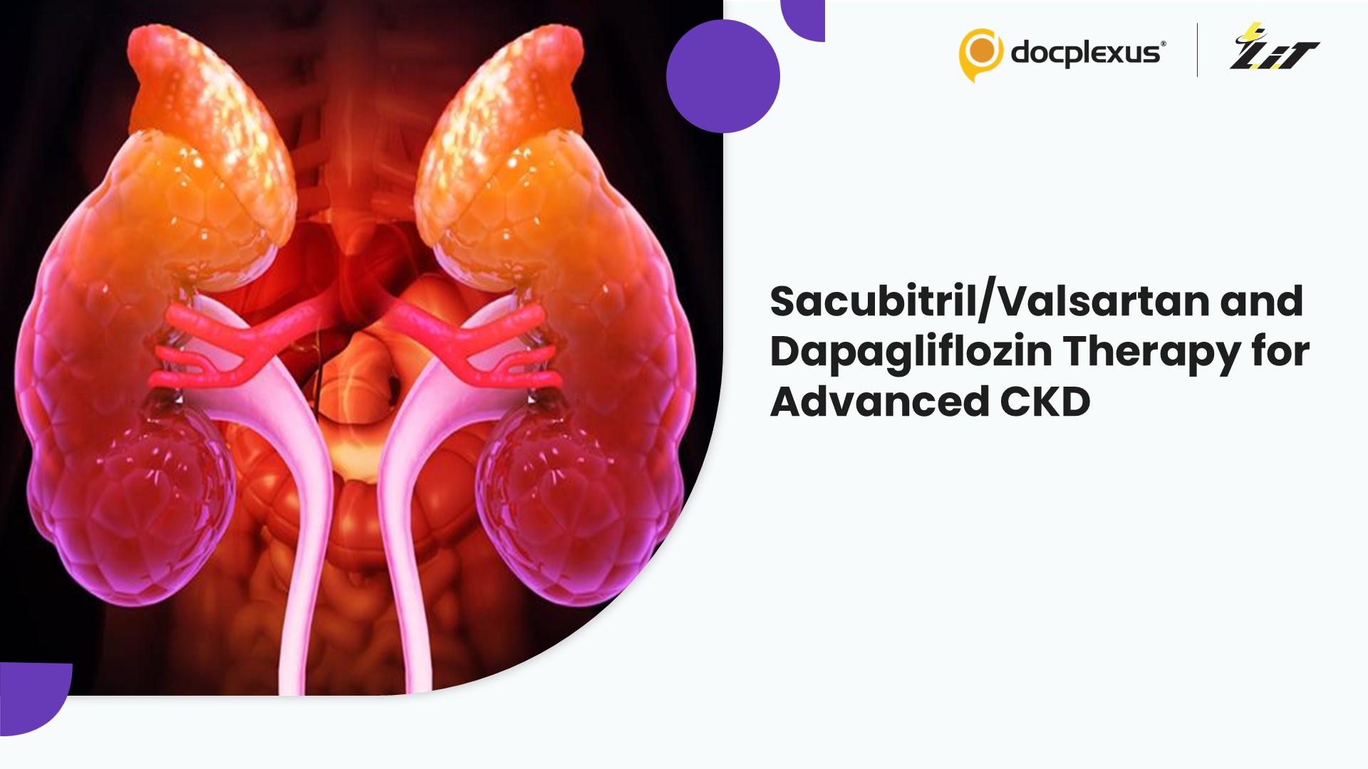 Combination Drug Therapy in Advanced Chronic Kidney Disease