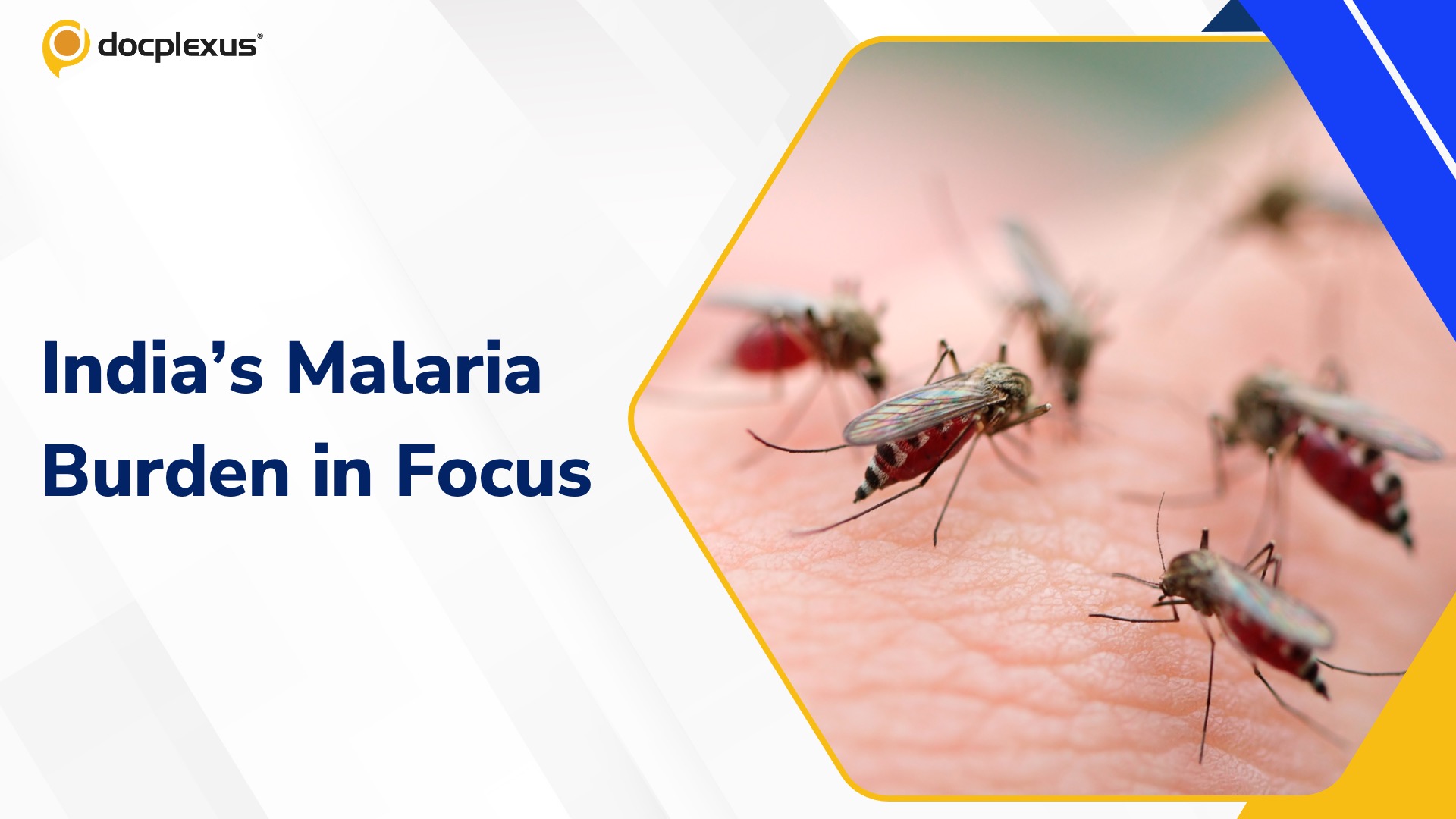 India Still Bears the Heaviest Malaria Burden in South Asia