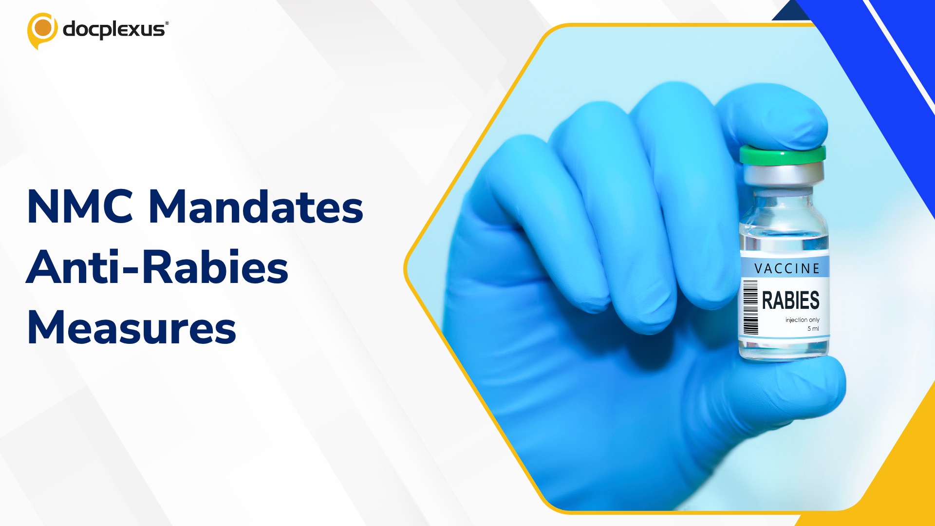 NMC Orders Hospitals to Stock Anti-Rabies Drugs, Act on Strays