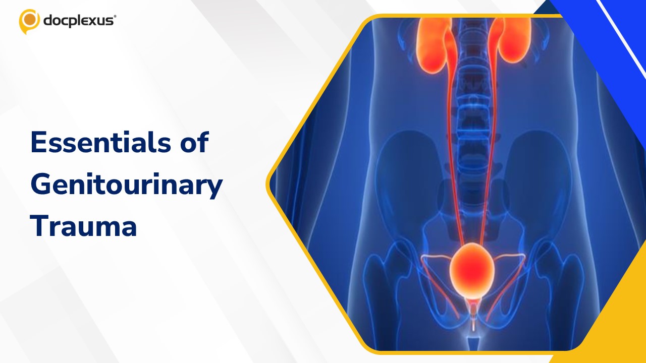 A Contemporary Overview of Genitourinary Trauma