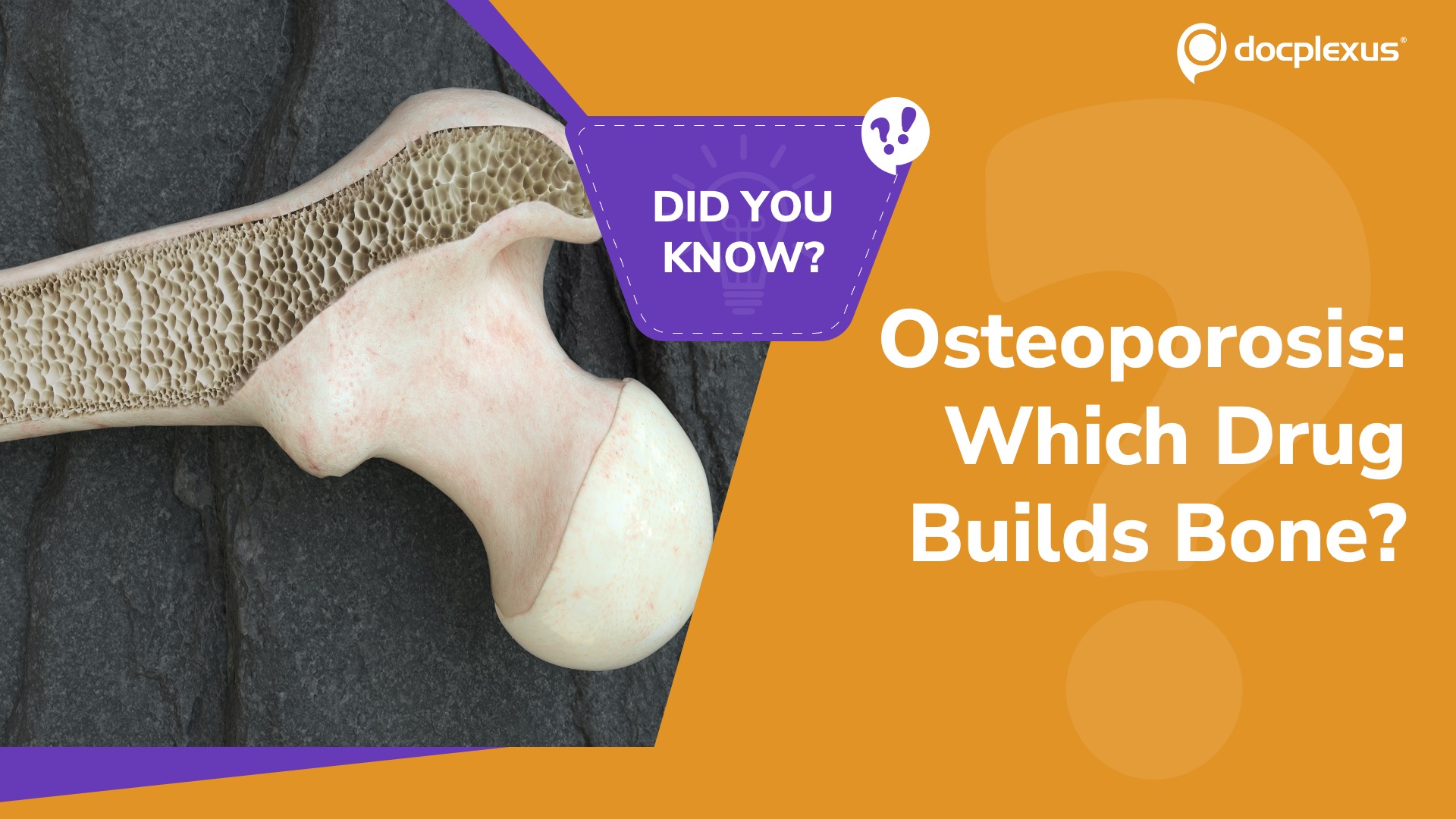 Osteoporosis Therapy: Do You Know Your Drug Classes?