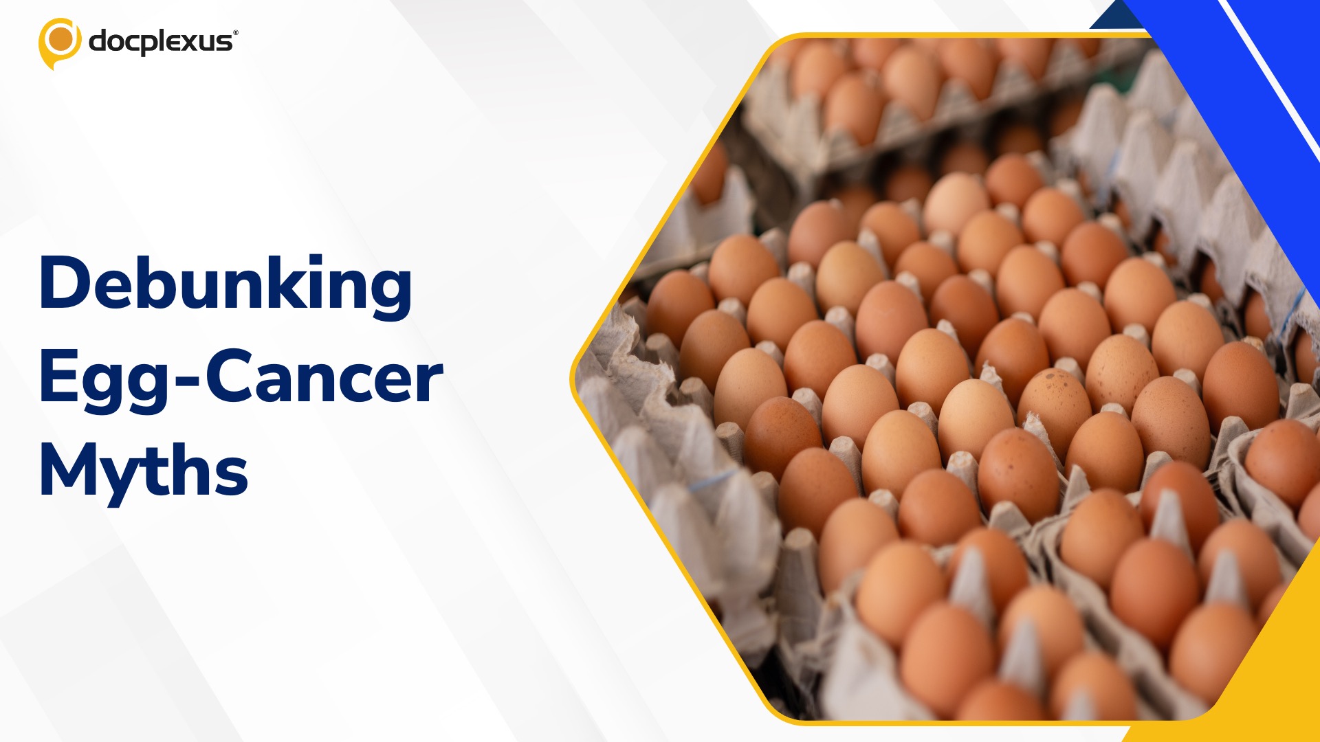Eggs Are Safe: FSSAI Clarifies Cancer Risk Claims Are Misleading