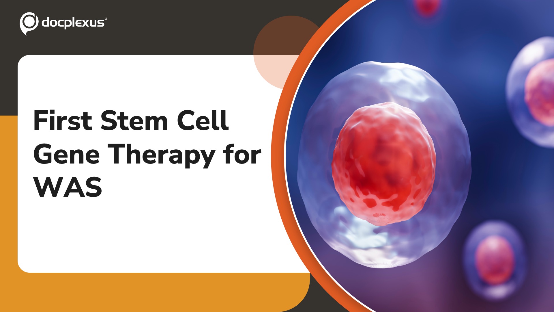 US FDA Approves First Gene Therapy for Wiskott-Aldrich Syndrome