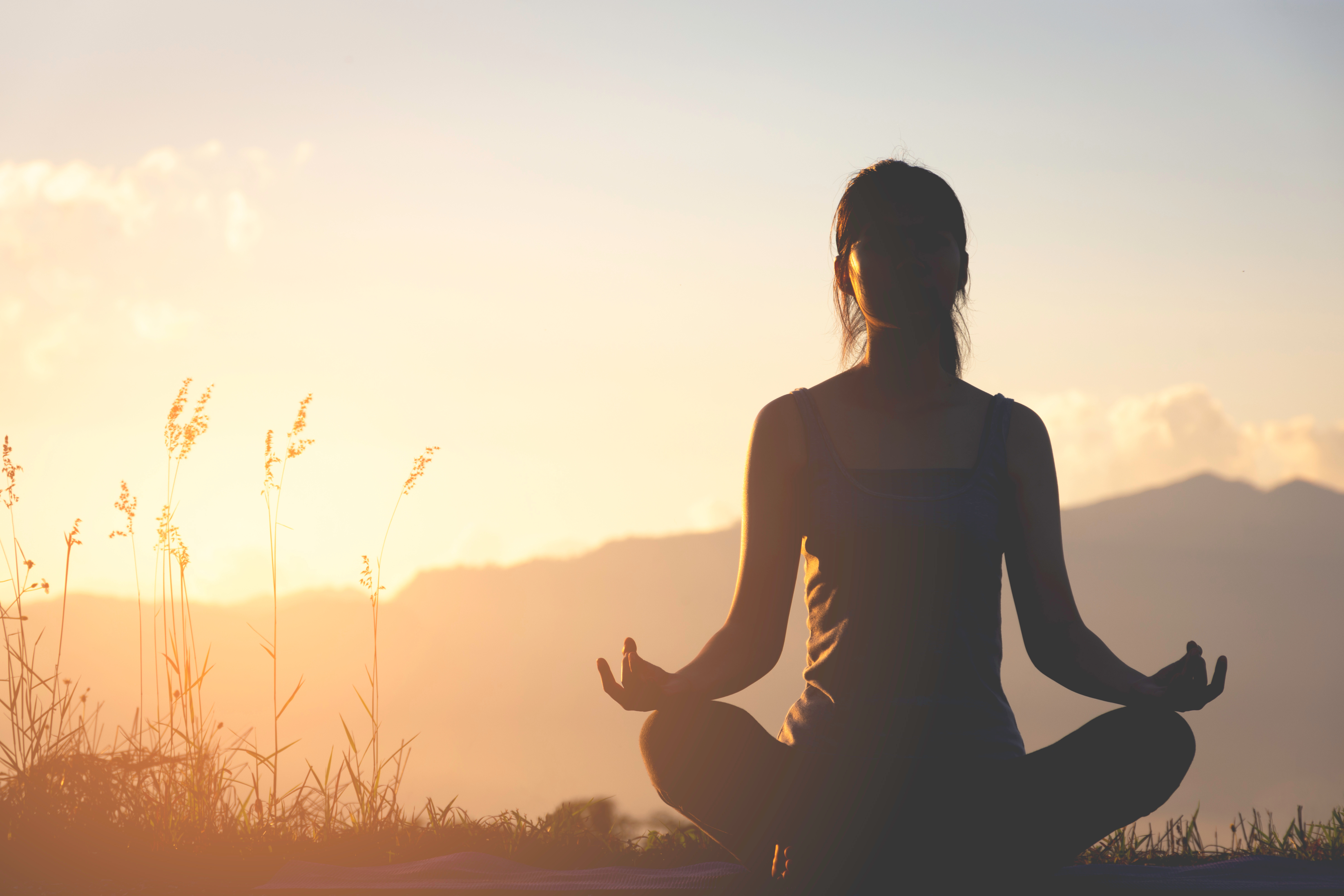 Yoga Module Development And Validation: A Systematic Review With Methodological Guidelines