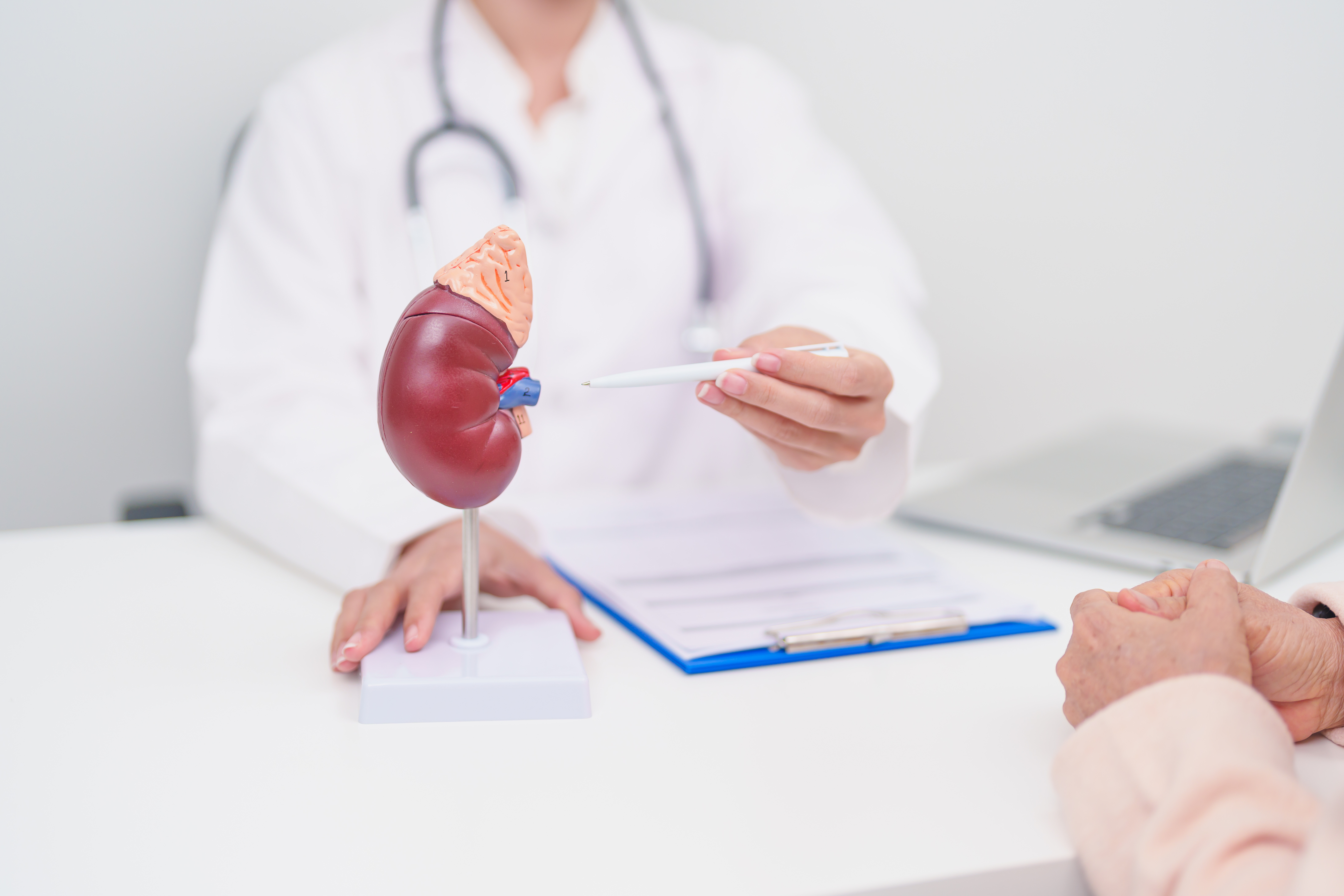 Update on Primary Aldosteronism: Time to Screen All  Hypertensives