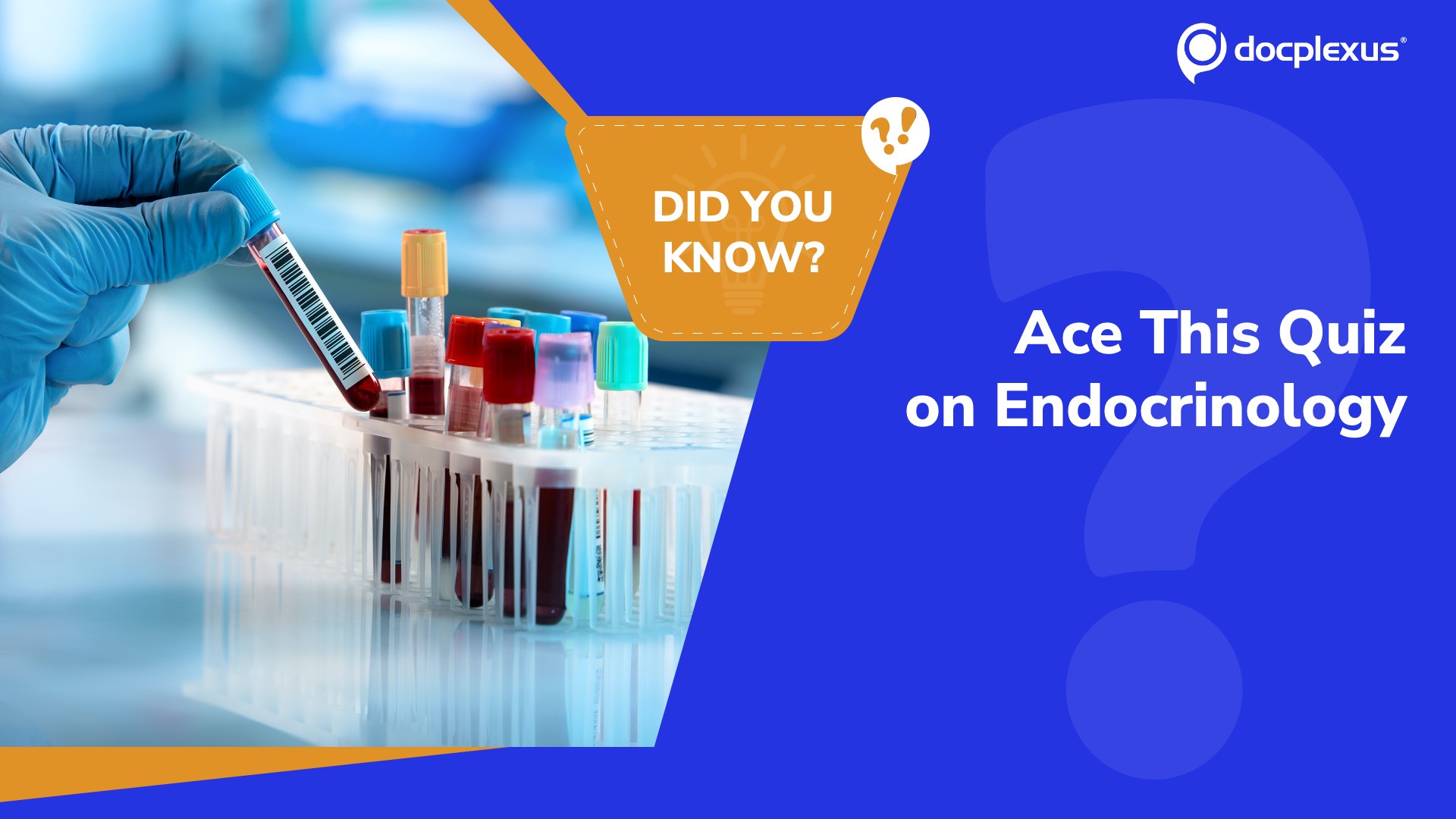Endocrinology Essentials: Test Your Diagnostic Skills
