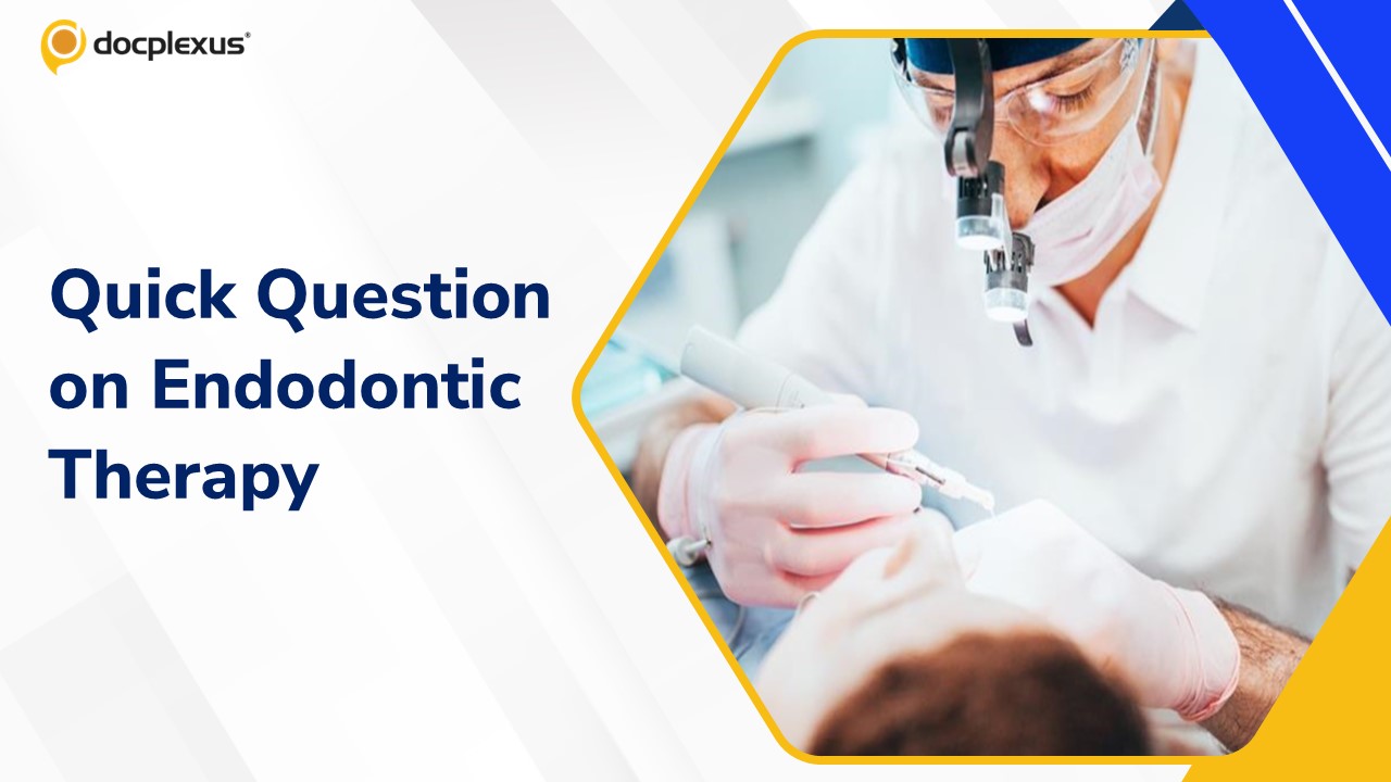 Think You Know Endodontic Therapy? Quick Dental Quiz