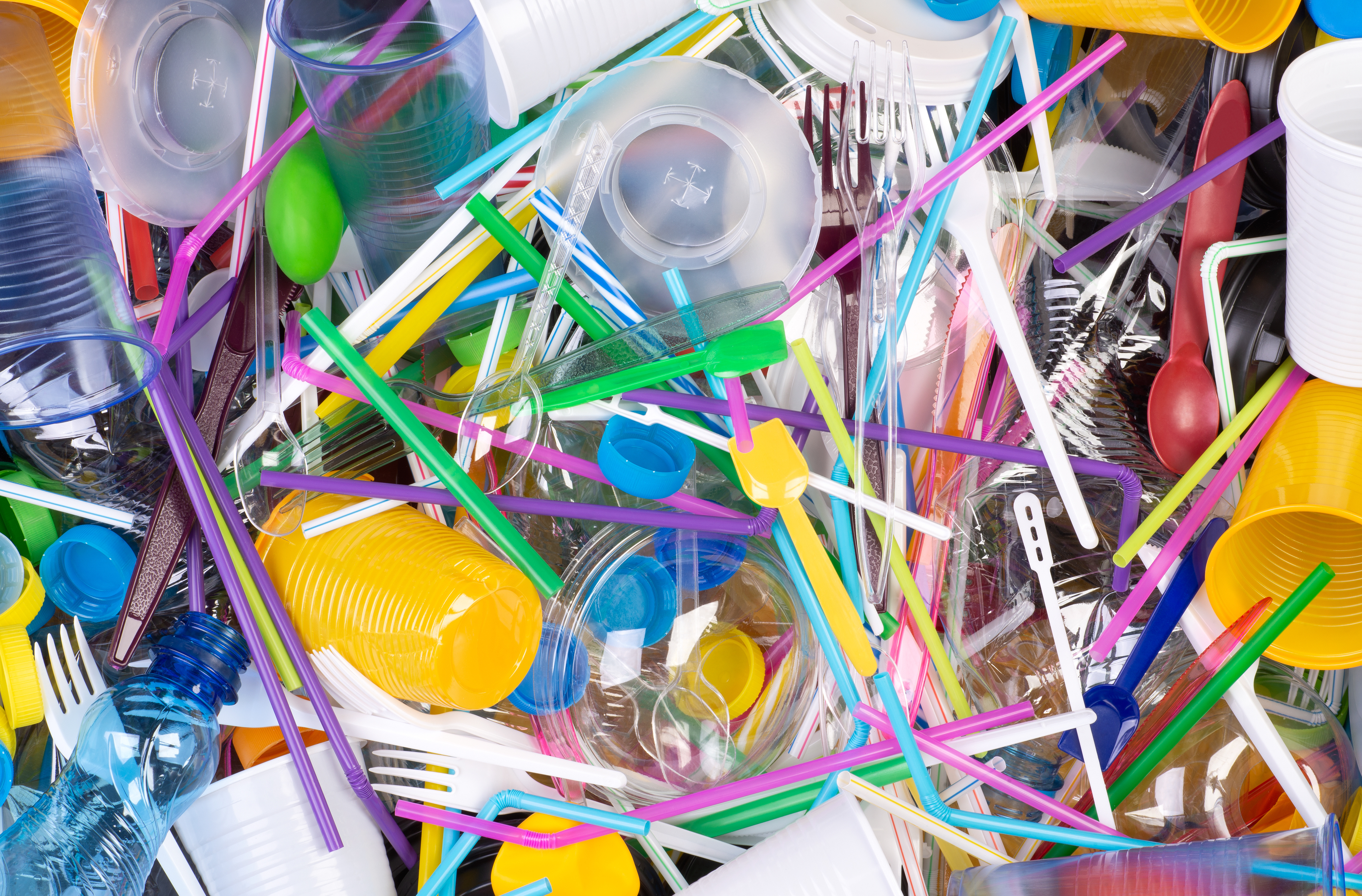 Bisphenol A- The Potential Hazard From Food Containers