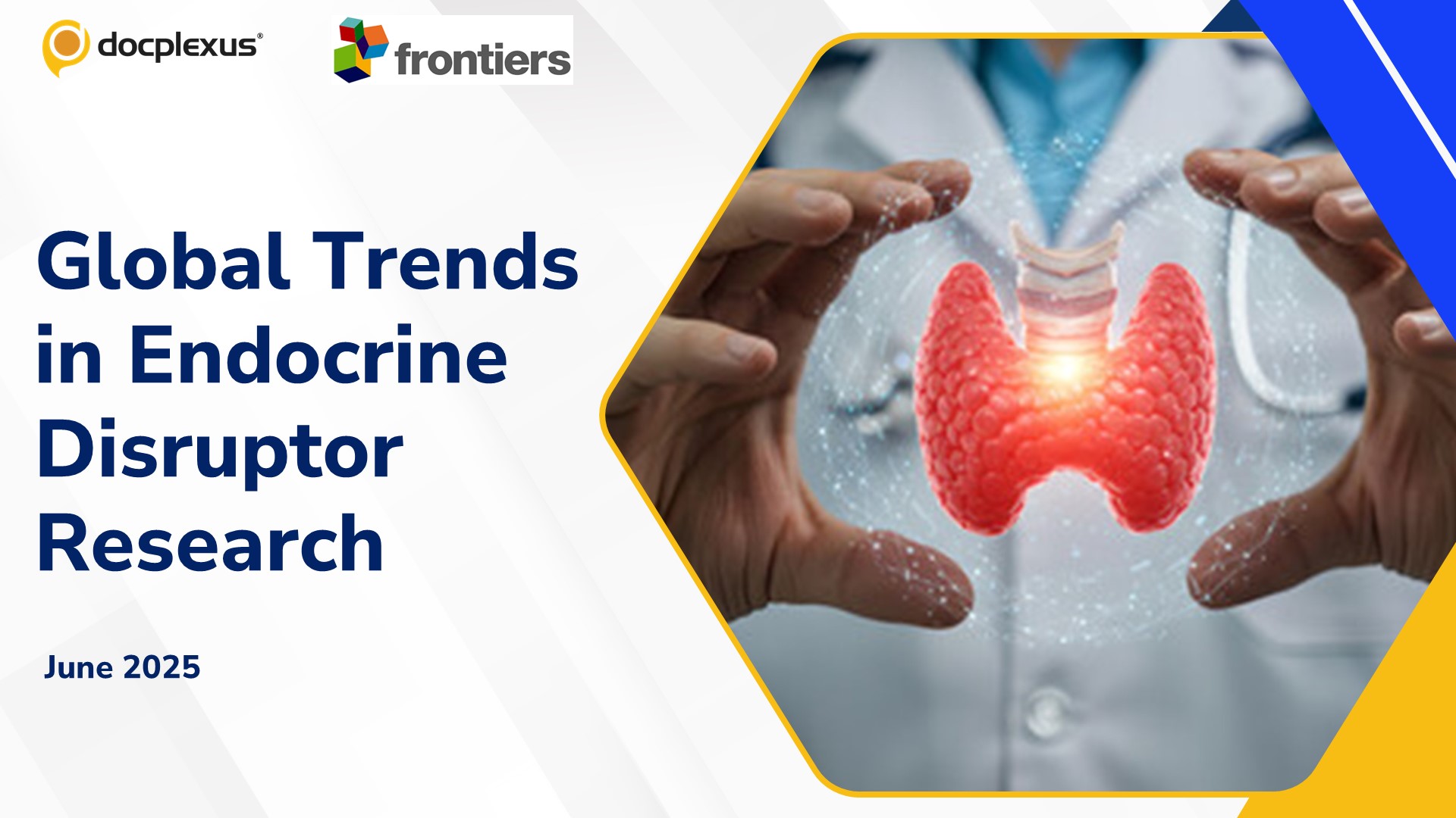 Global Trends in Endocrine Disruptor Research and Their Impact on Human Health
