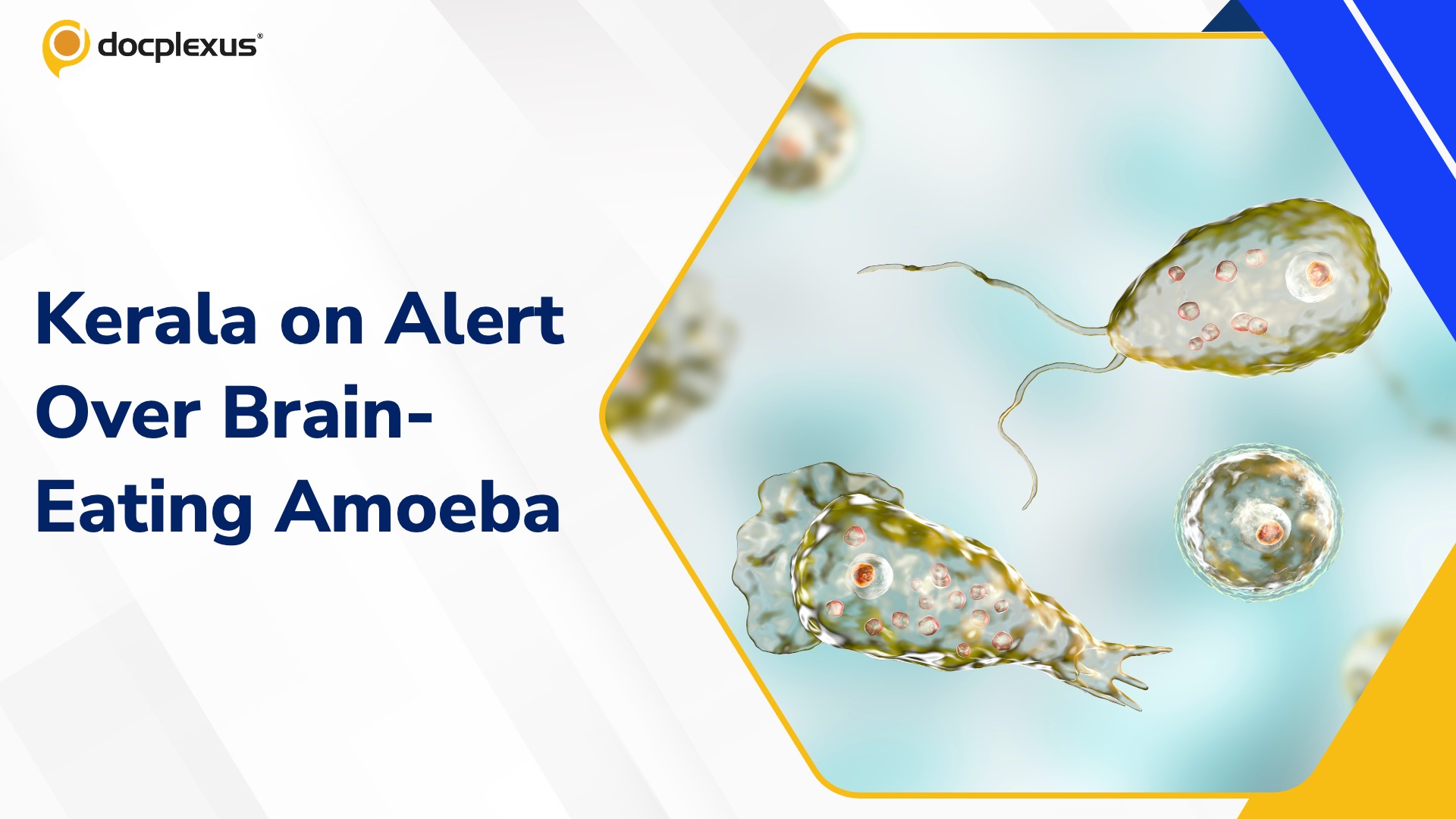 Brain-Eating Amoeba Strikes Kerala Again
