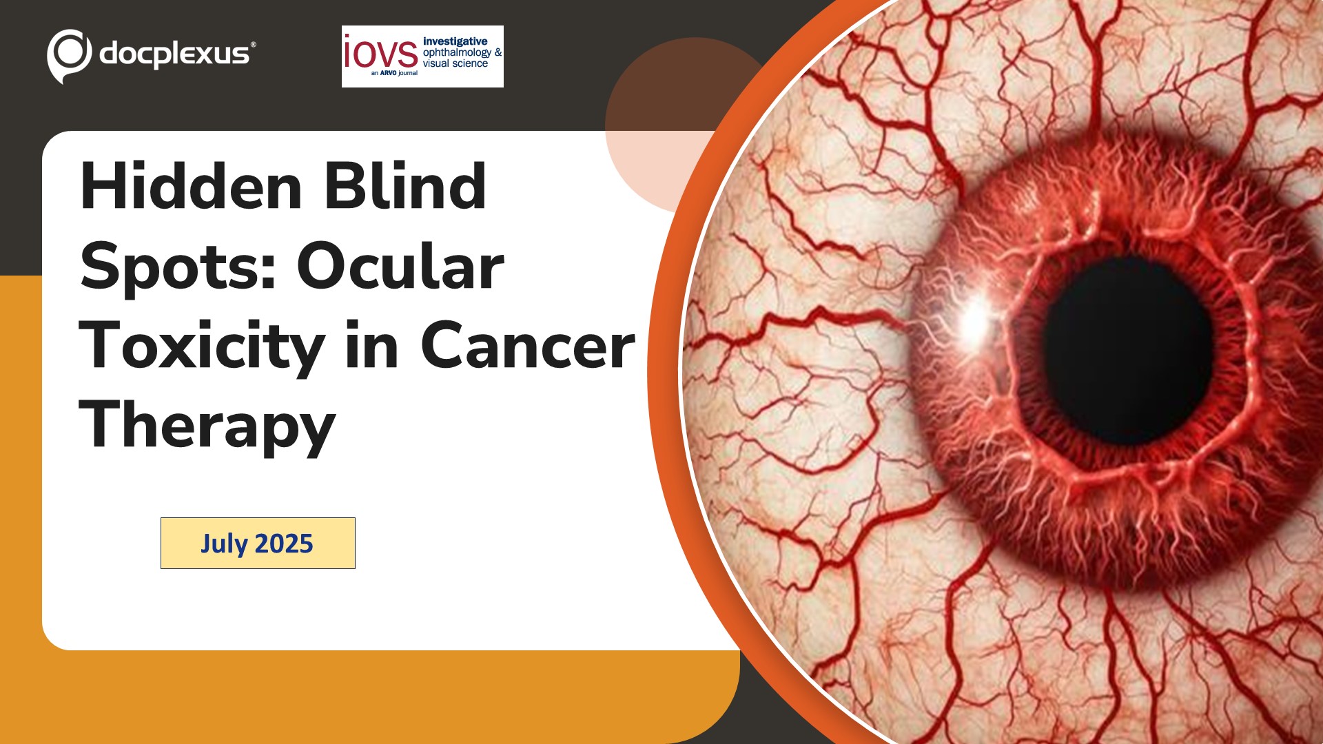 Hidden Blind Spots: Ocular Toxicity in Cancer Therapy