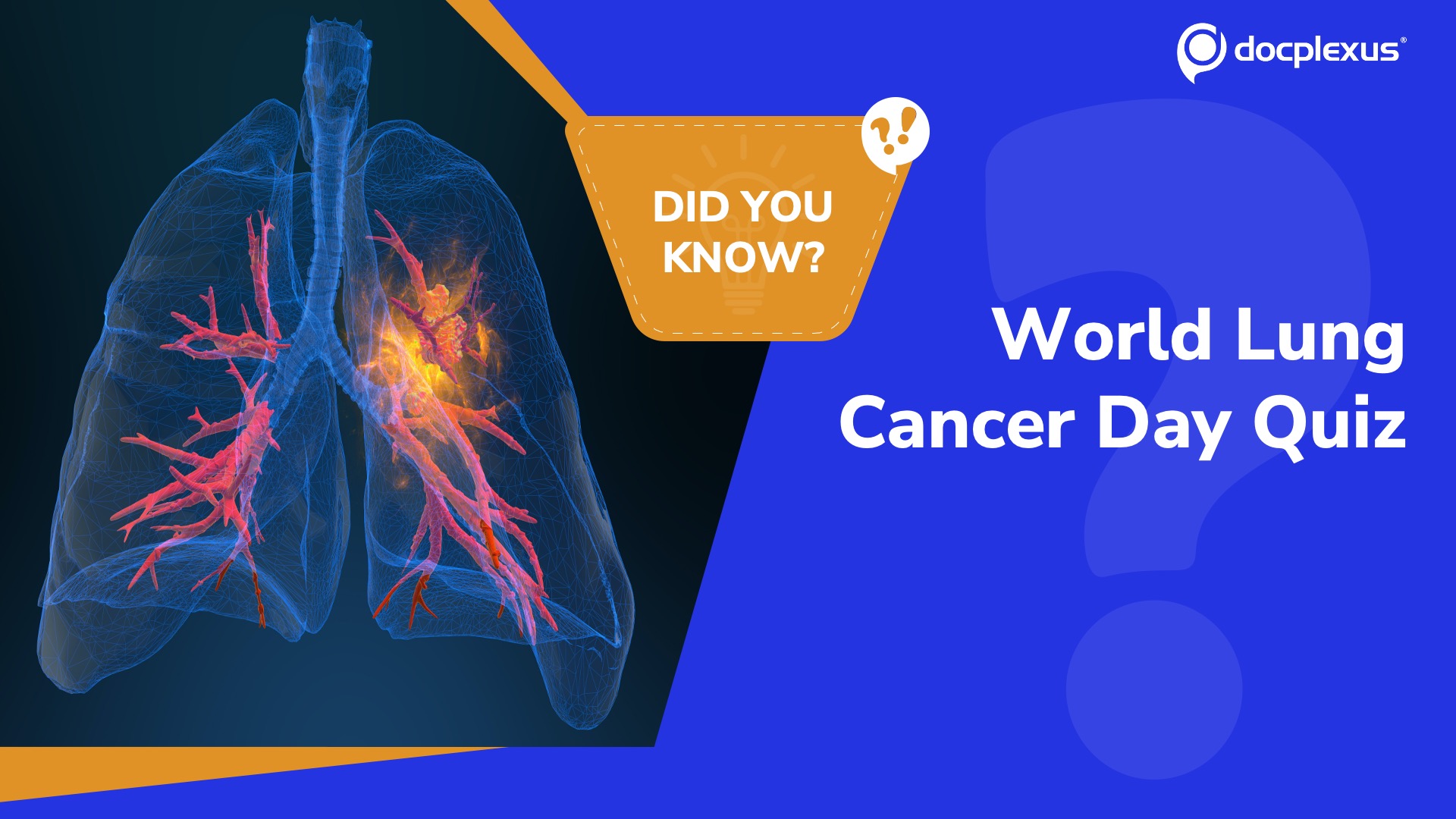 World Lung Cancer Day: Are You Up to Date?