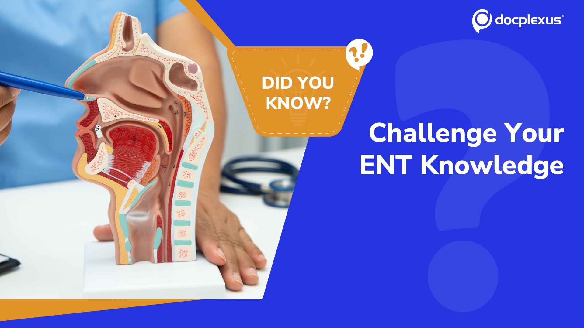 Test Your ENT Expertise: A Short Quiz
