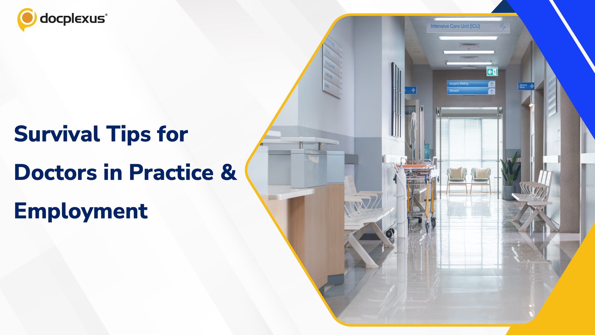 Survival Tips for Independent Practice and Employment in Healthcare