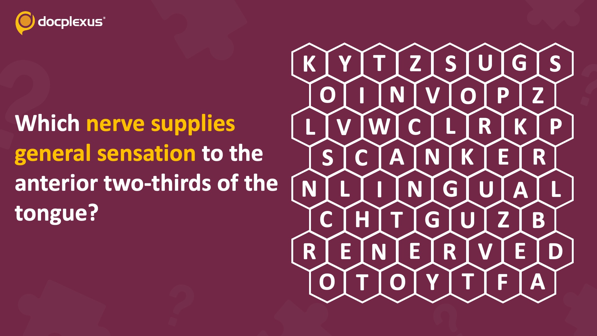 Can You Identify the Nerve Responsible for Tongue Sensation?