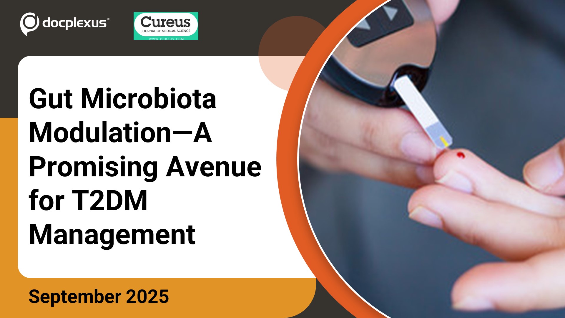 Gut Microbiota Modulation—A Promising Avenue for Glycemic and Cardiometabolic Management in T2DM