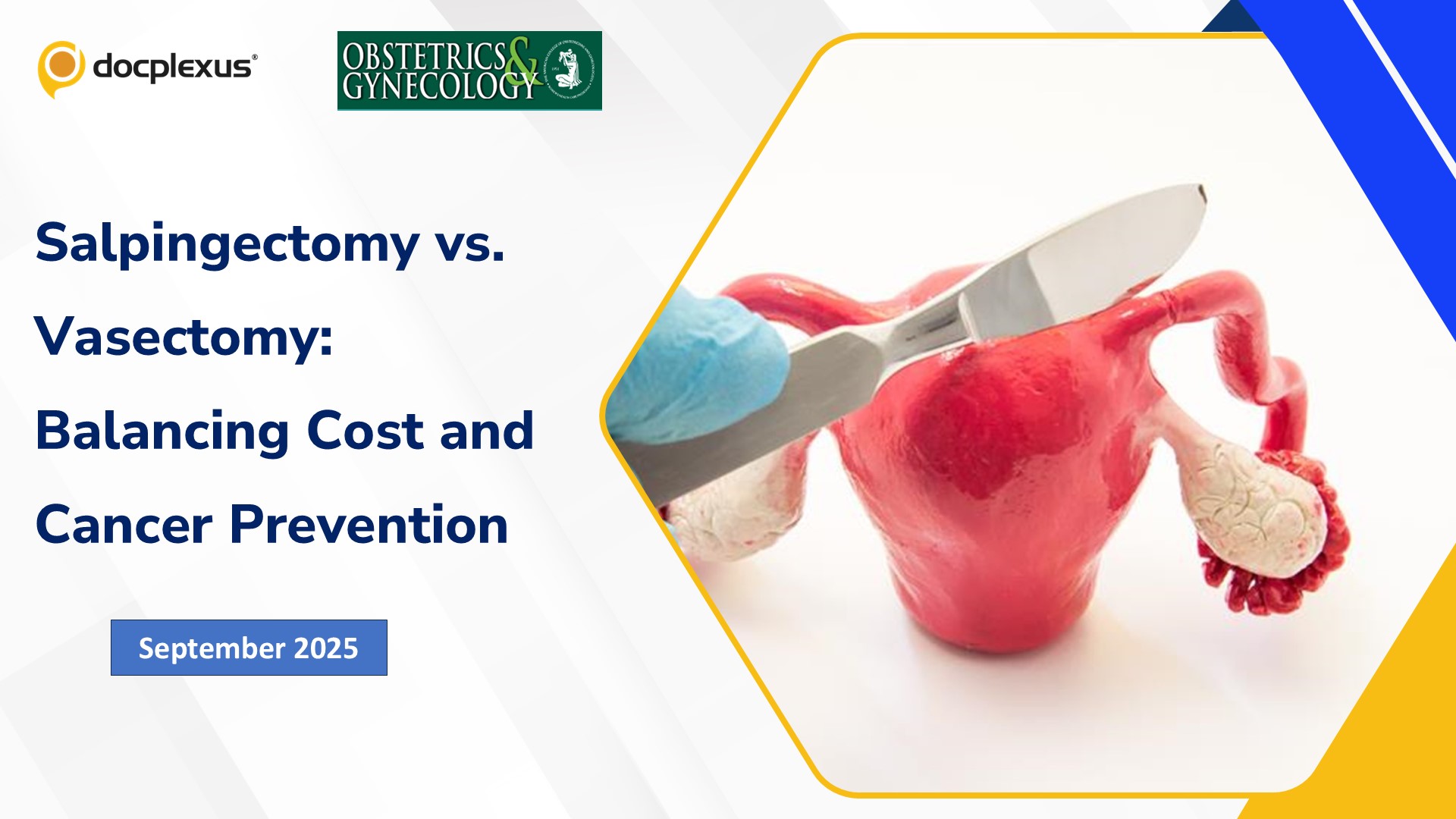 Salpingectomy vs. Vasectomy: Balancing Cost and Cancer Prevention