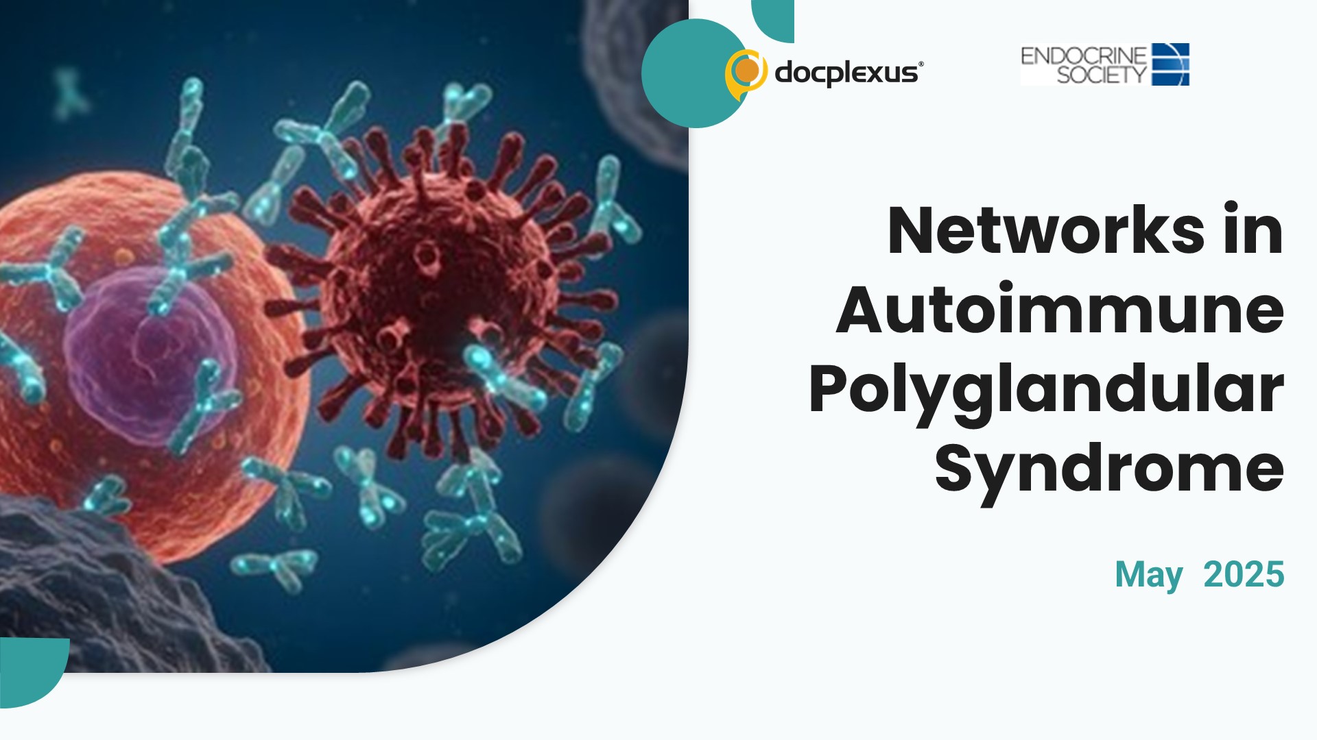 Mapping Autoimmunity: A Network Approach to Polyglandular Syndrome