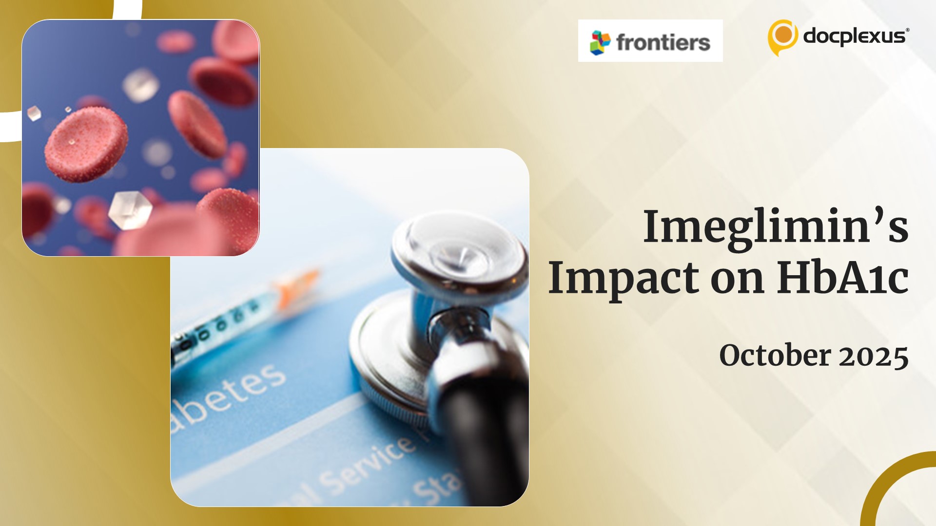 Hemoglobin Glycation Unmasked: Imeglimin Alters HbA1c Accuracy