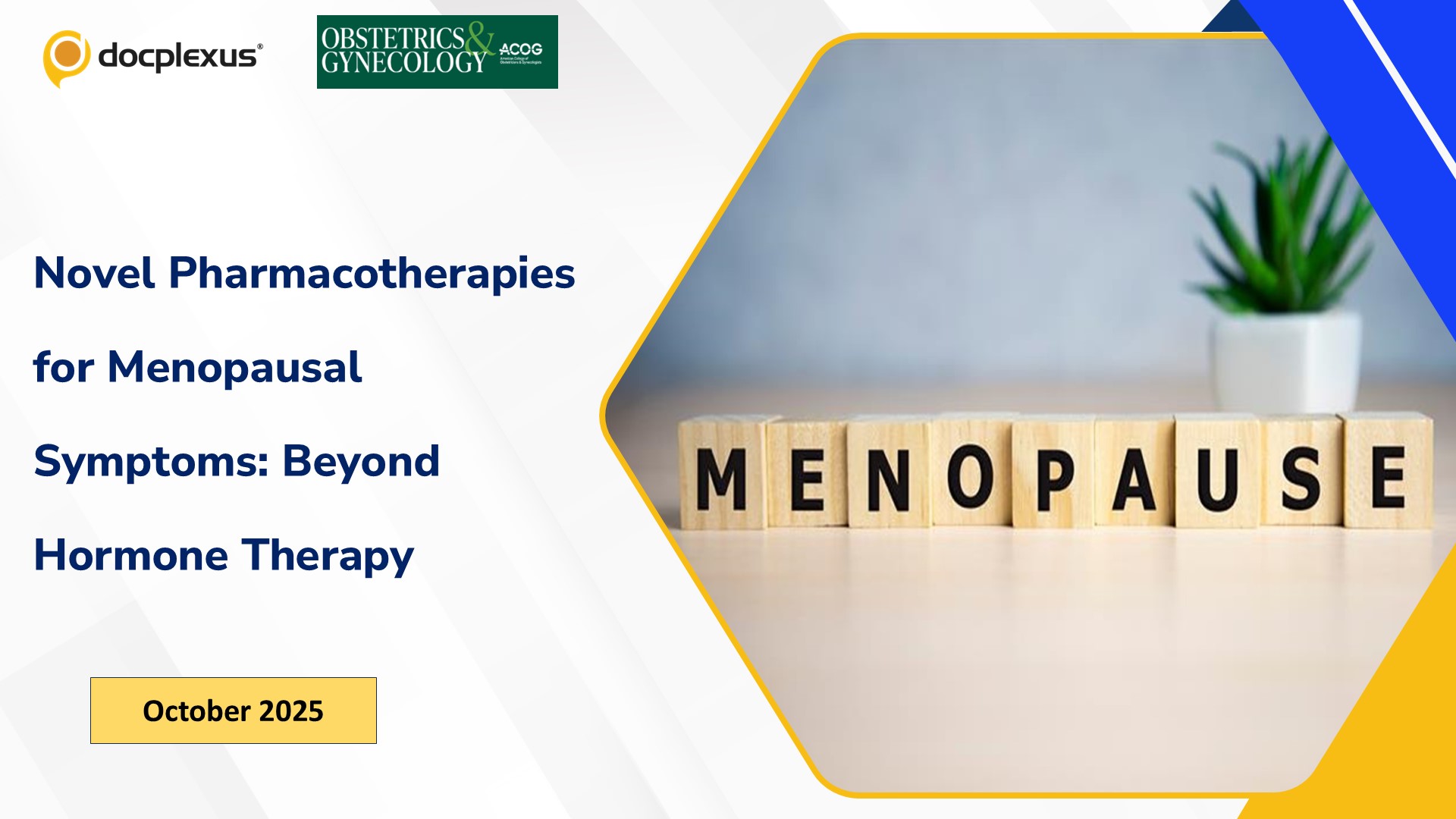 Novel Pharmacotherapies for Menopausal Symptoms: Beyond Hormone Therapy