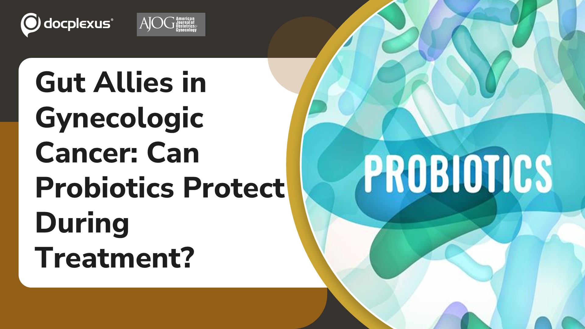 Gut Allies in Gynecologic Cancer: Can Probiotics Protect During Treatment?