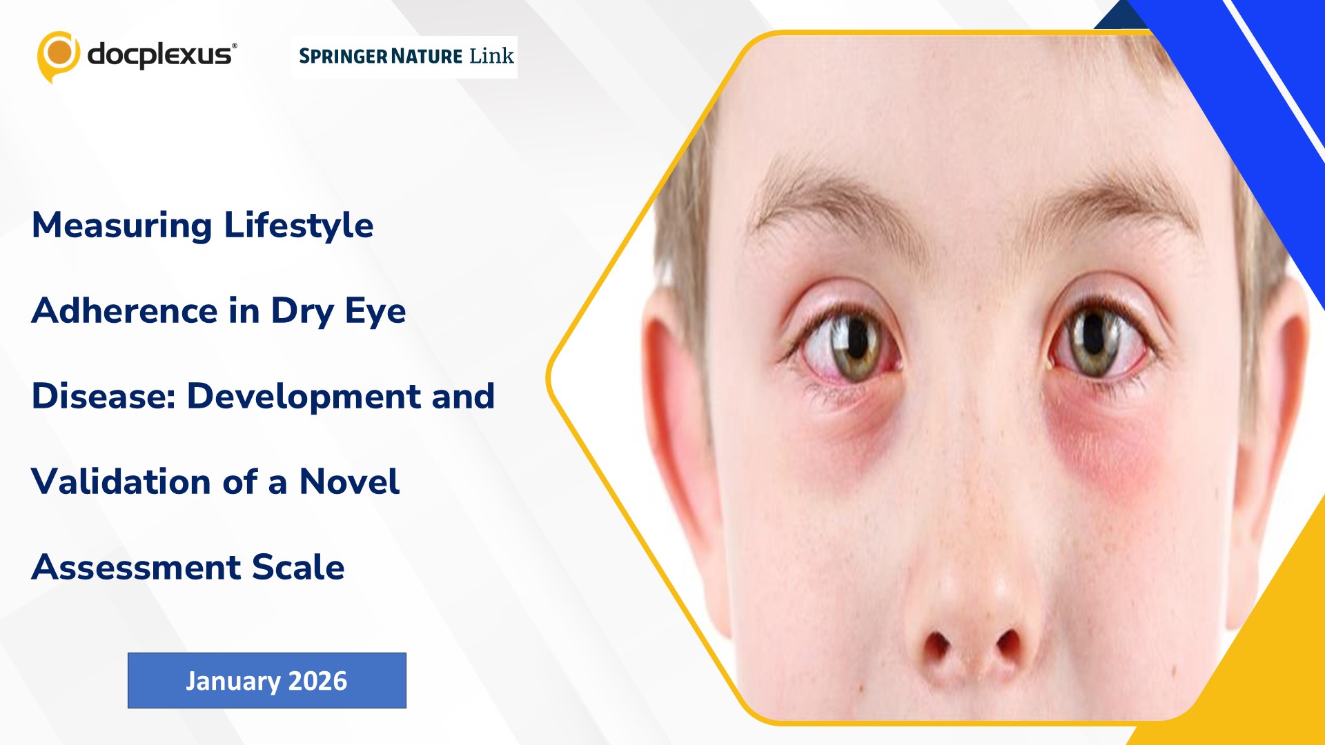 Measuring Lifestyle Adherence in Dry Eye Disease: Development and Validation of a Novel Assessment Scale
