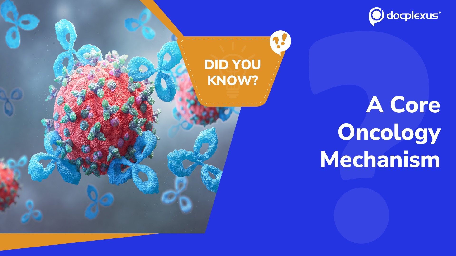 Immune Checkpoint Inhibitors: Do You Really Know How They Work?