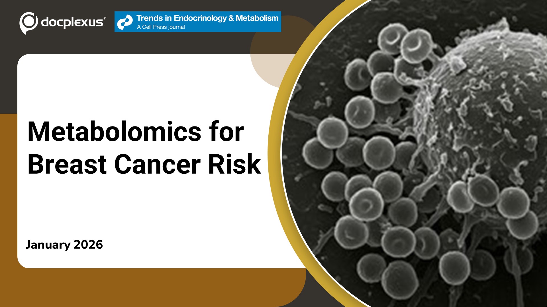 Can a Blood Metabolite Fingerprint Predict to Develop Breast Cancer?