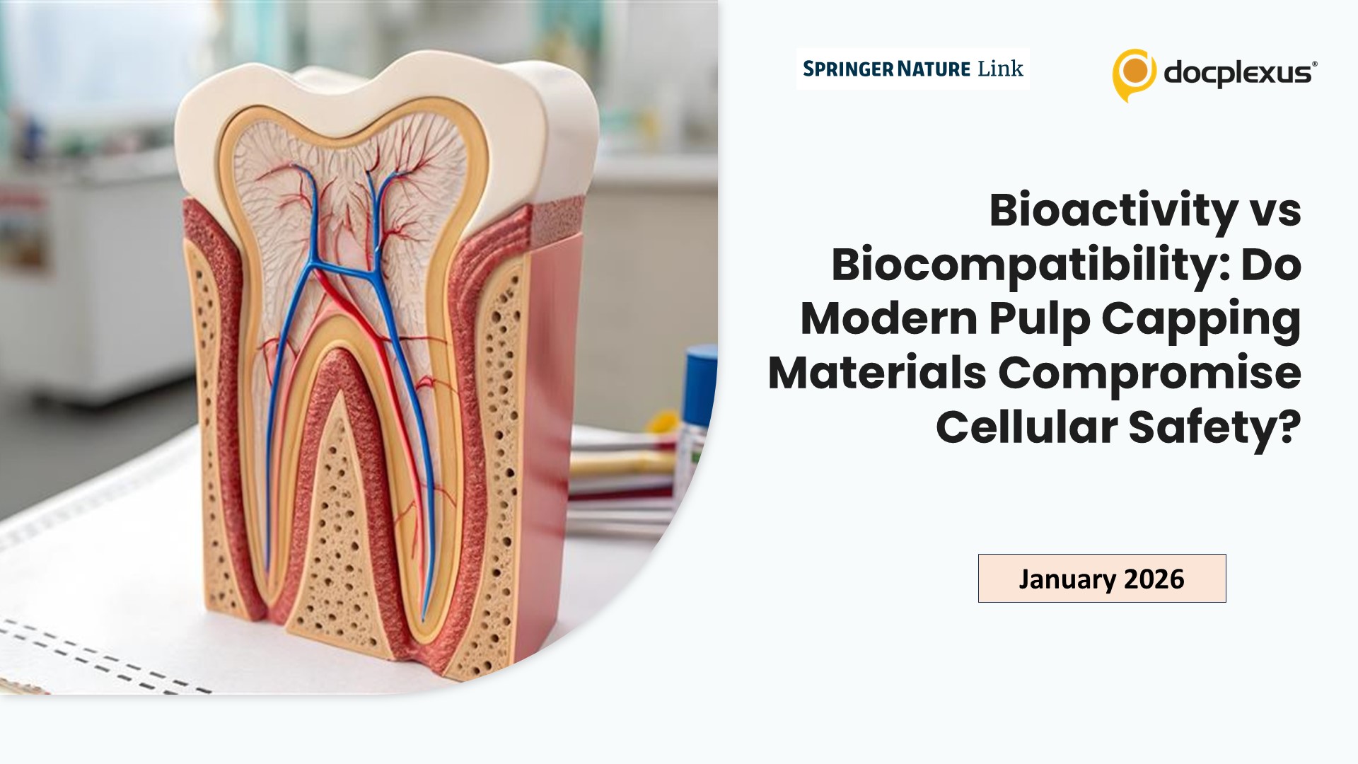 Bioactivity vs Biocompatibility: Do Modern Pulp Capping Materials Compromise Cellular Safety?