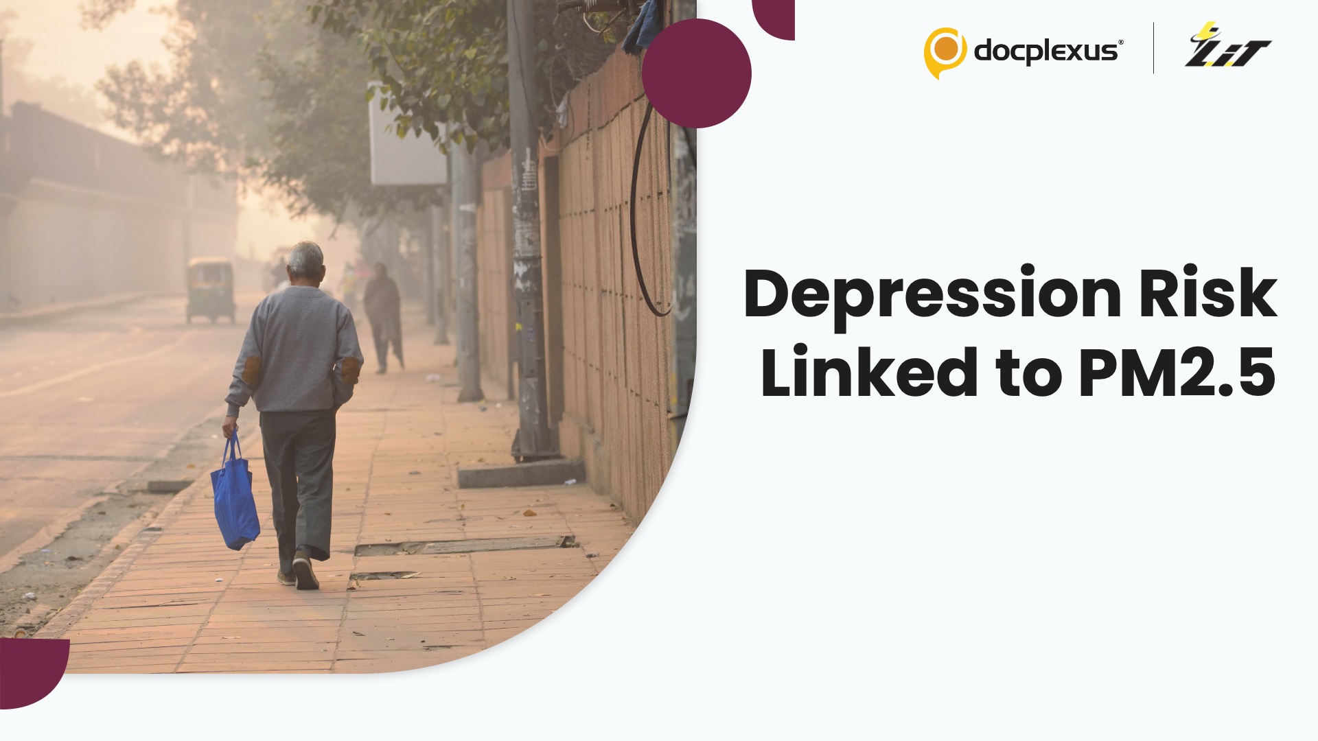 PM2.5 Components Linked to Higher Depression Risk in Older Adults