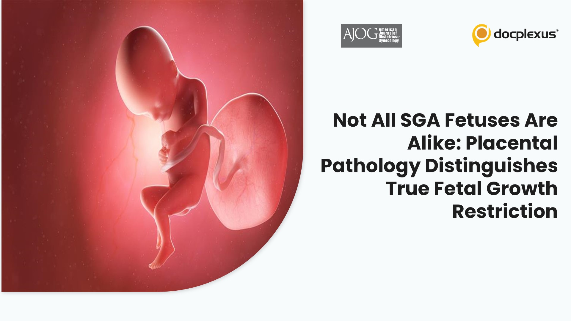 Not All SGA Fetuses Are Alike: Placental Pathology Distinguishes True Fetal Growth Restriction