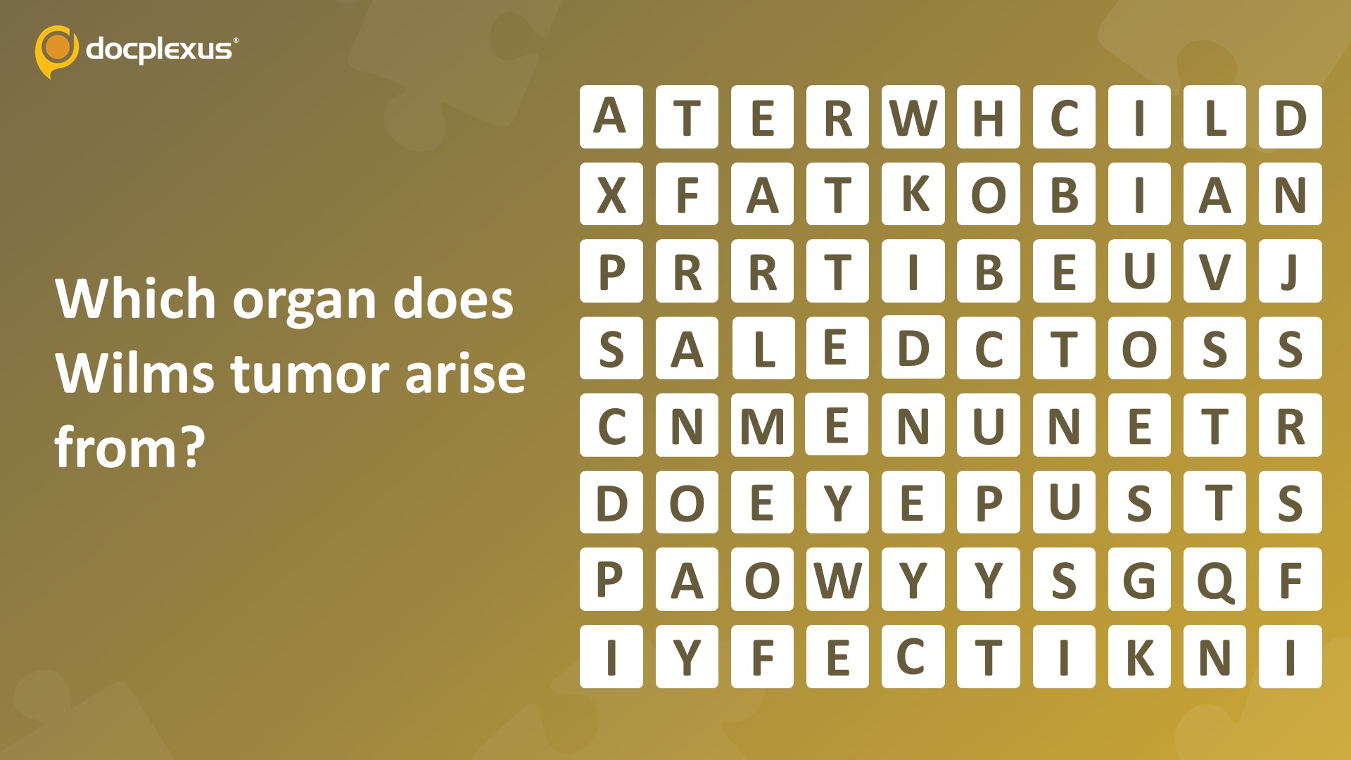 Identify the Organ from which Wilms Tumor Arises